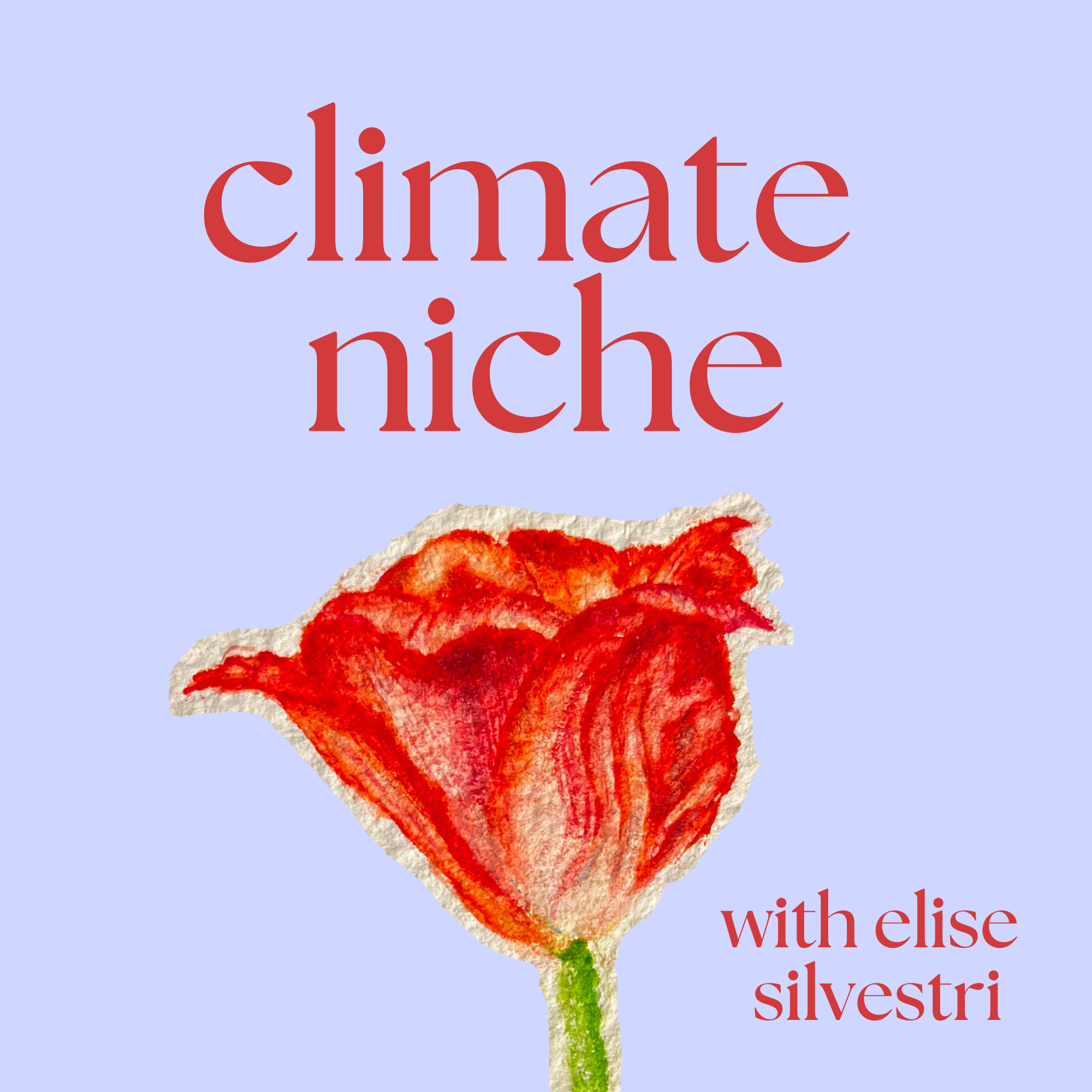 Climate Niche podcast artwork