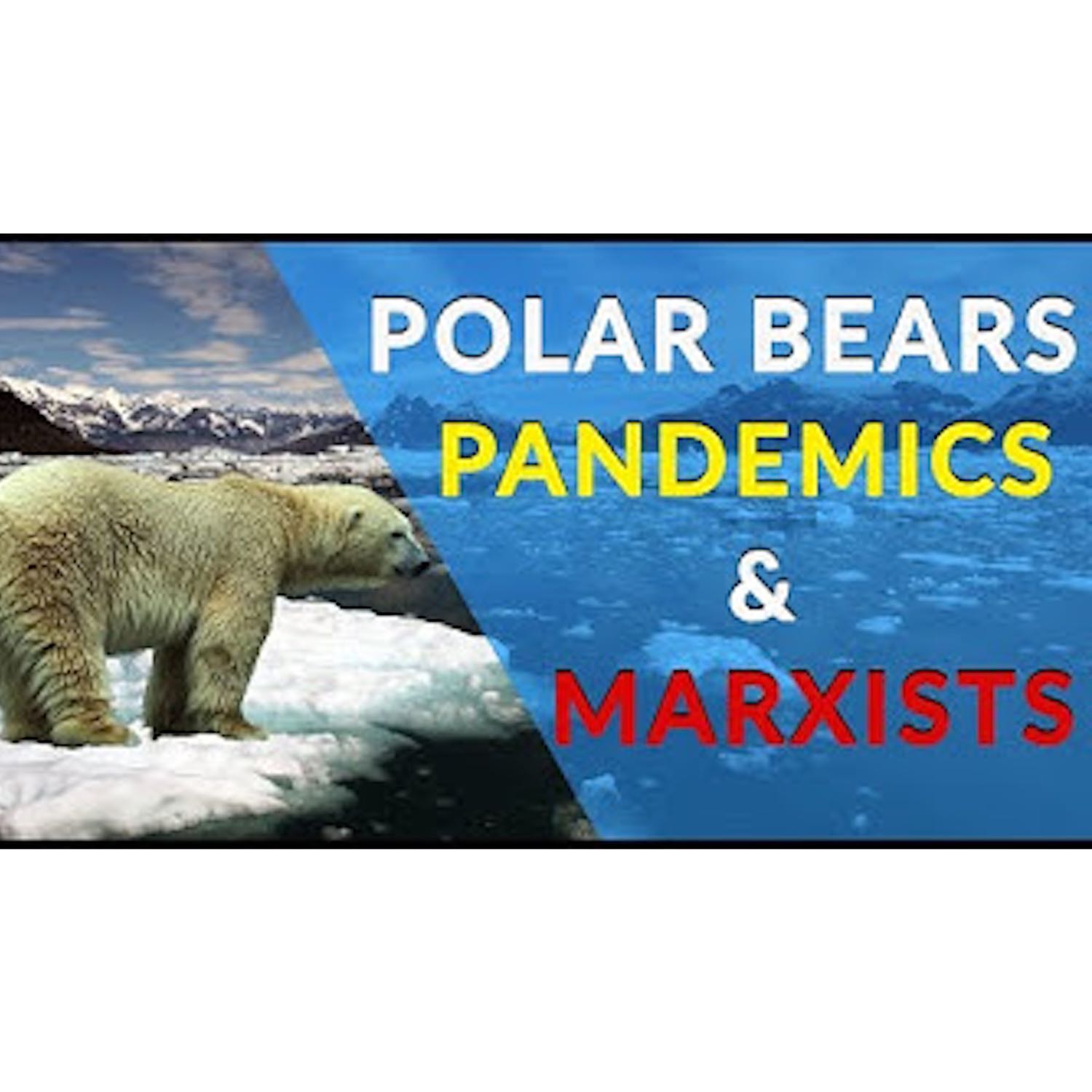 Pandemics, CO2, and Polar Bears