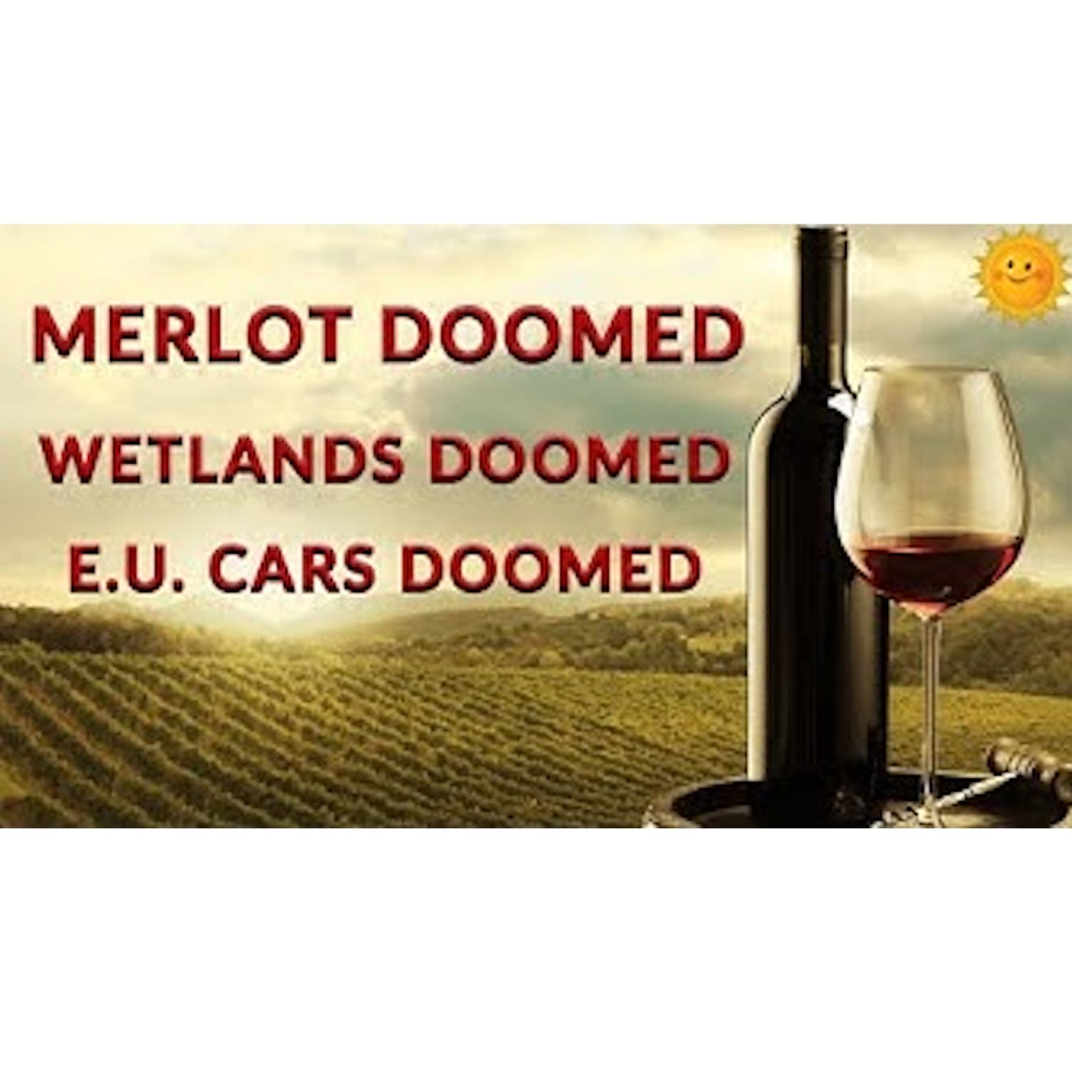 Of Merlot, Swamps and Rainfall - Newsletter Readout