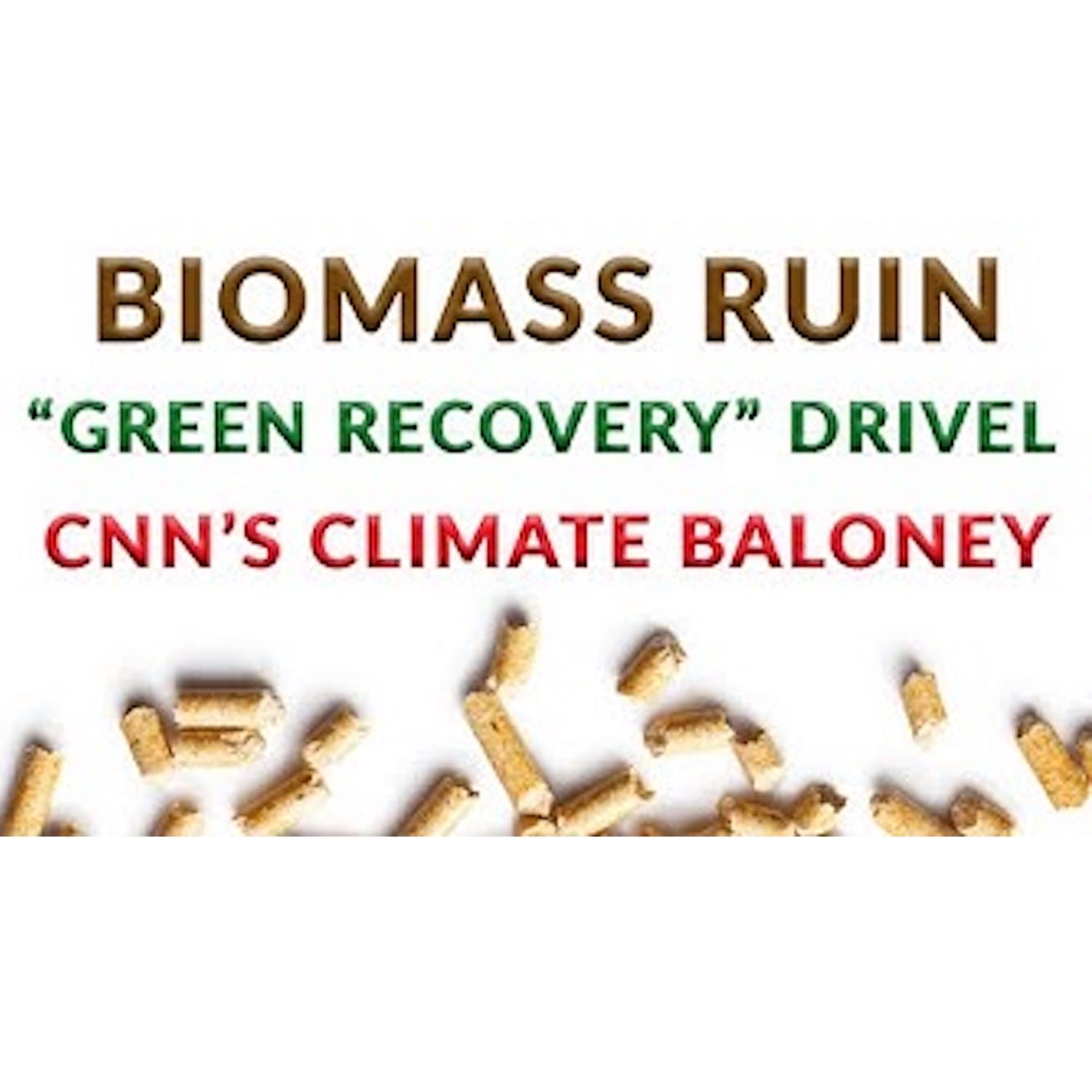 RCP8.5 Fever. Forests axed for wood pellets. Biomass lies.