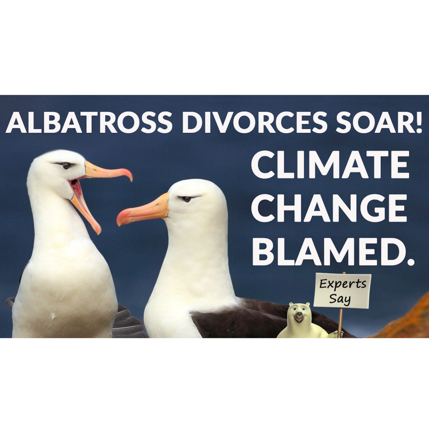 The Climate Discussion Nexus