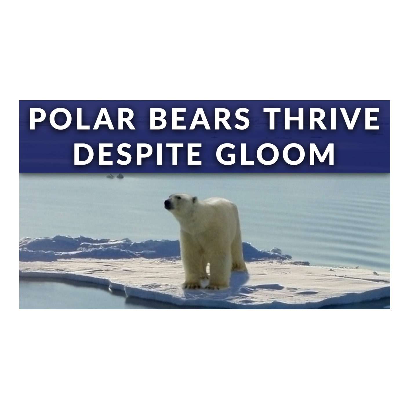 The Two Pillars Of Climate Futility episode artwork