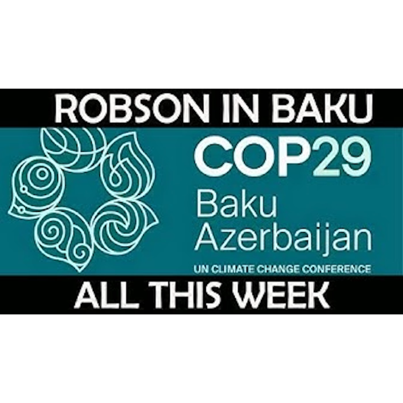 COP 29 Media Feeding Frenzy