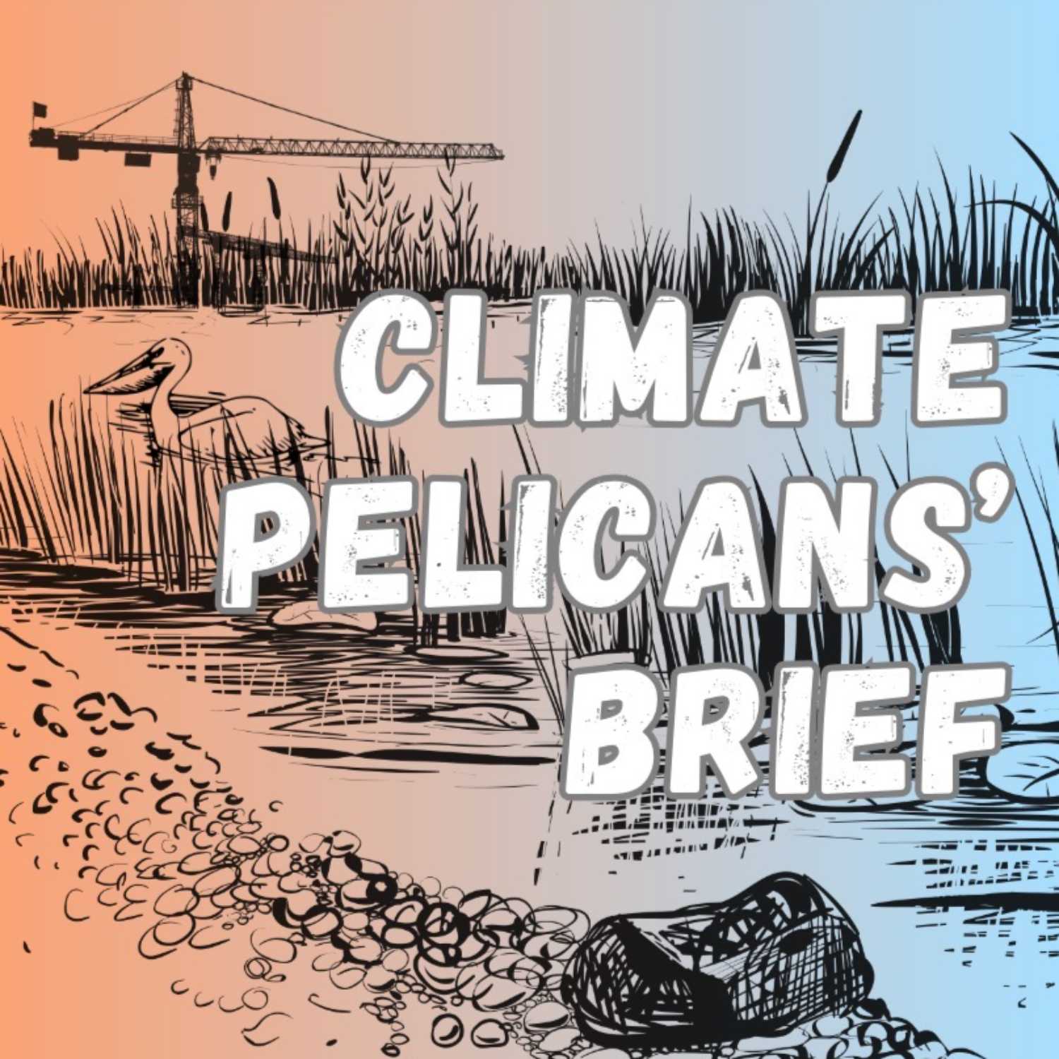 Climate Pelicans\' Brief