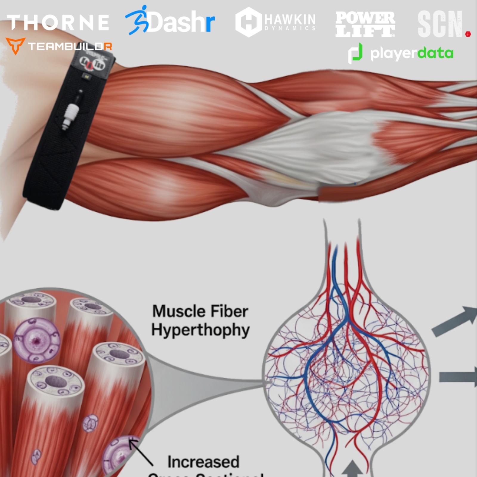 KAATSU - The Original Blood Flow Restriction | Supertraining in a Year (Pages 541-550) episode artwork