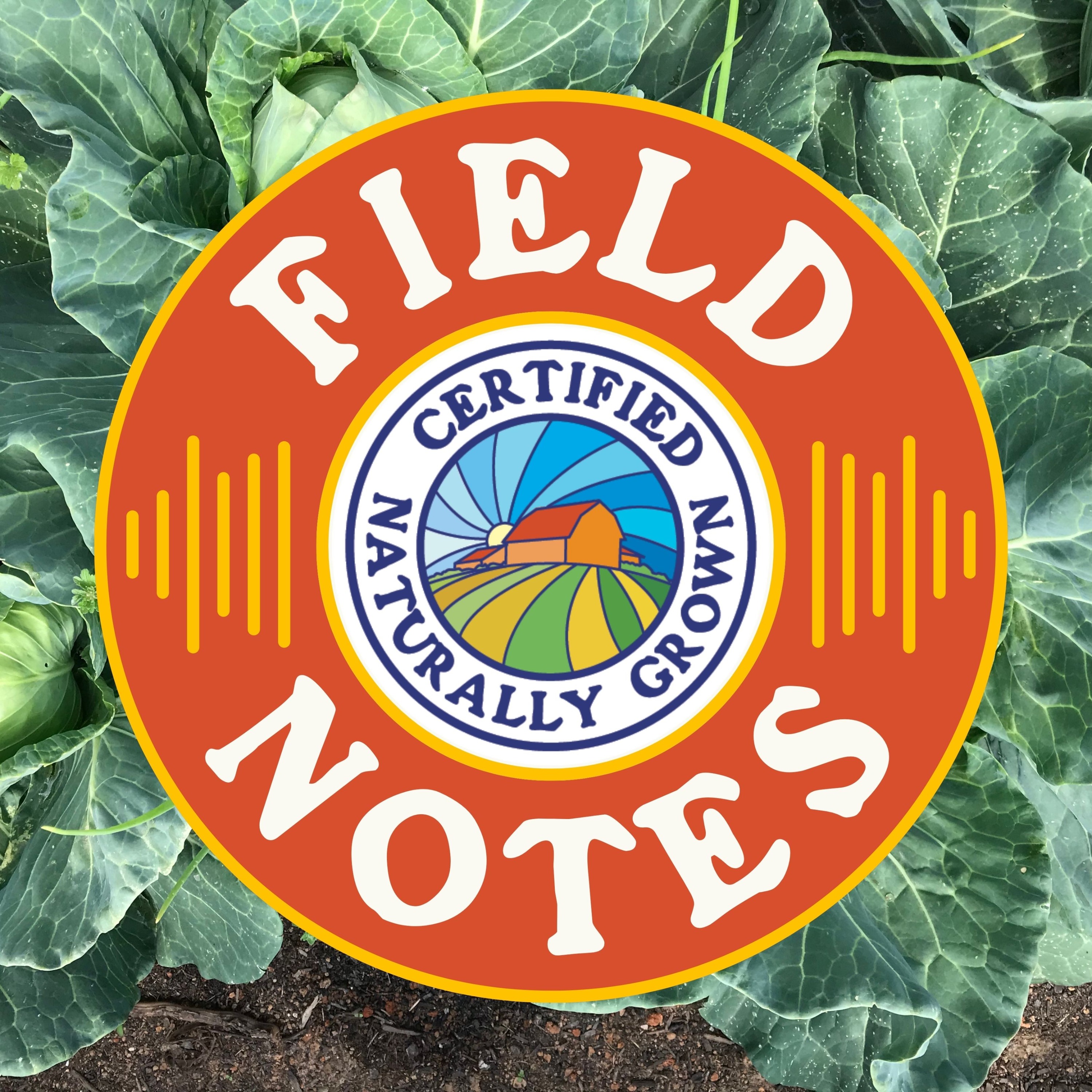 CNG Field Notes