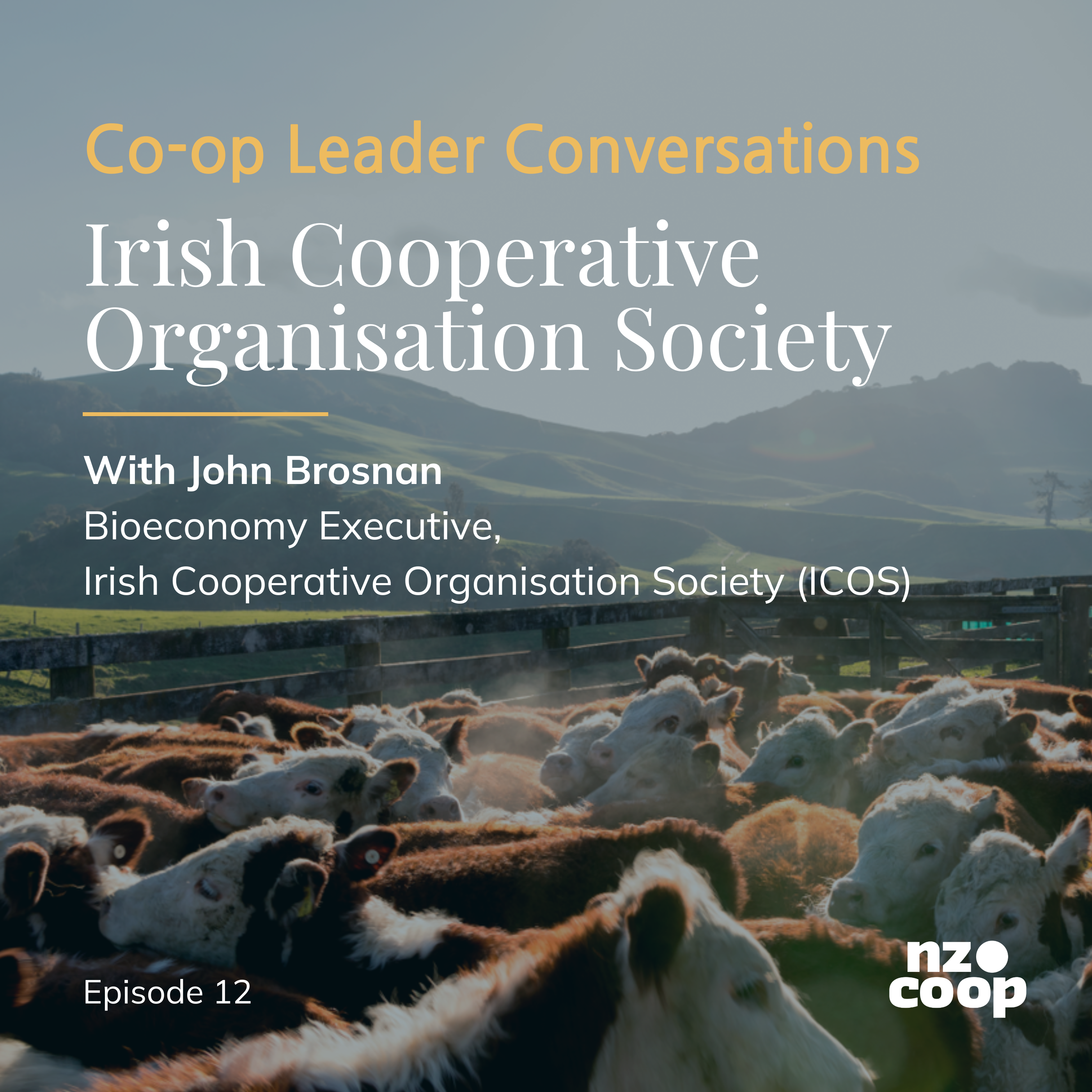 Co-op Leader Conversations