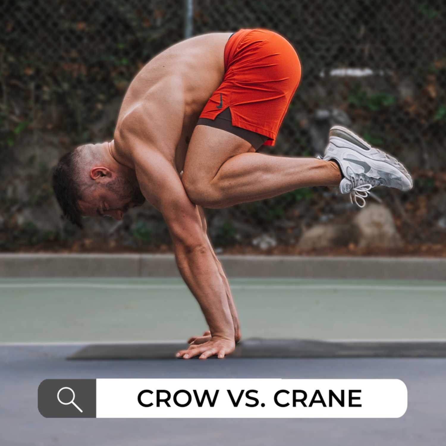 Crow Pose VS. Crane Pose
