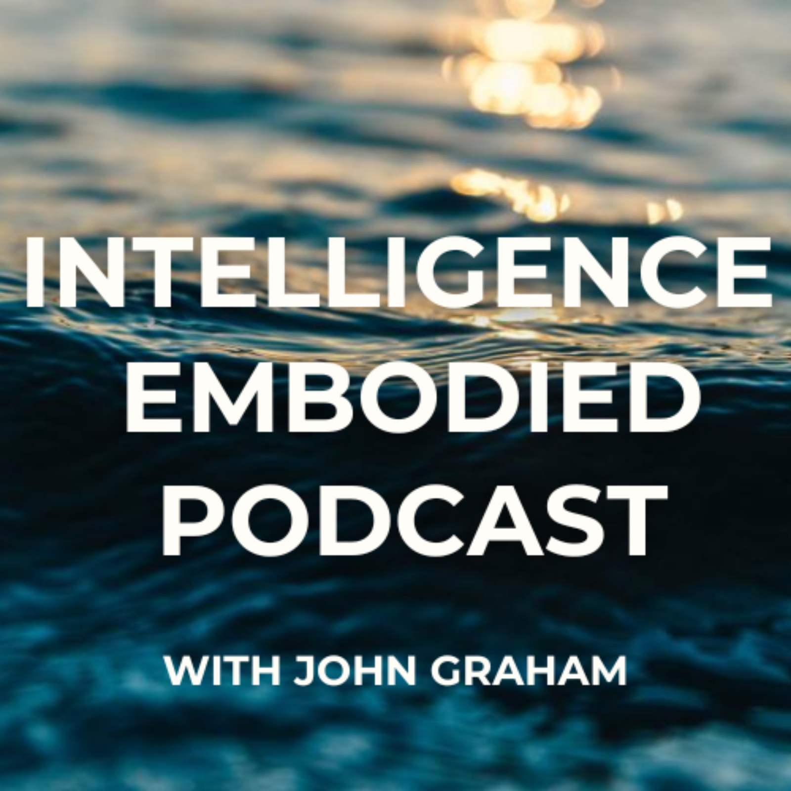 Intelligence Embodied Podcast