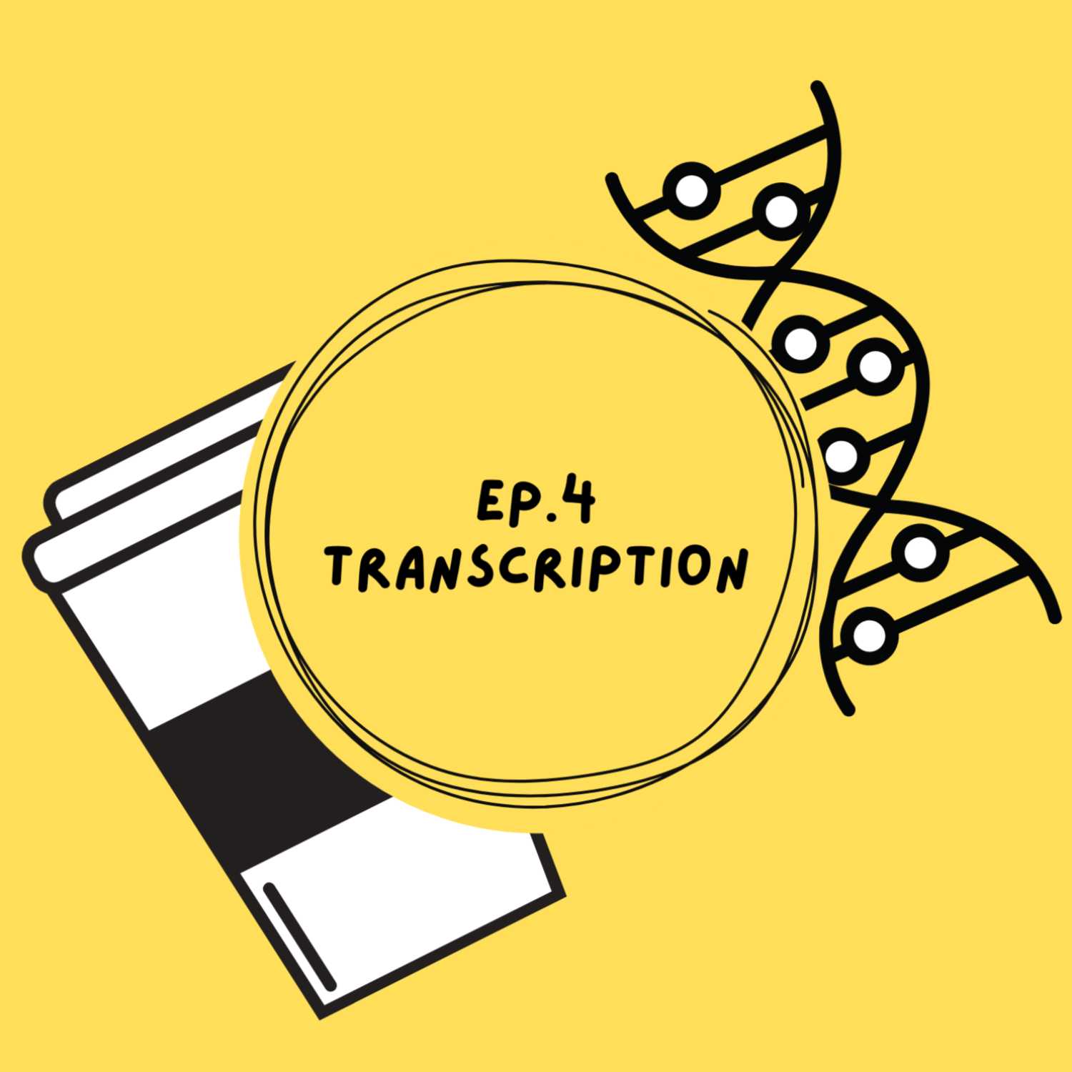 Ep. 4 - Transcription (high-level) Ep. 4 - Transcription (high-level)