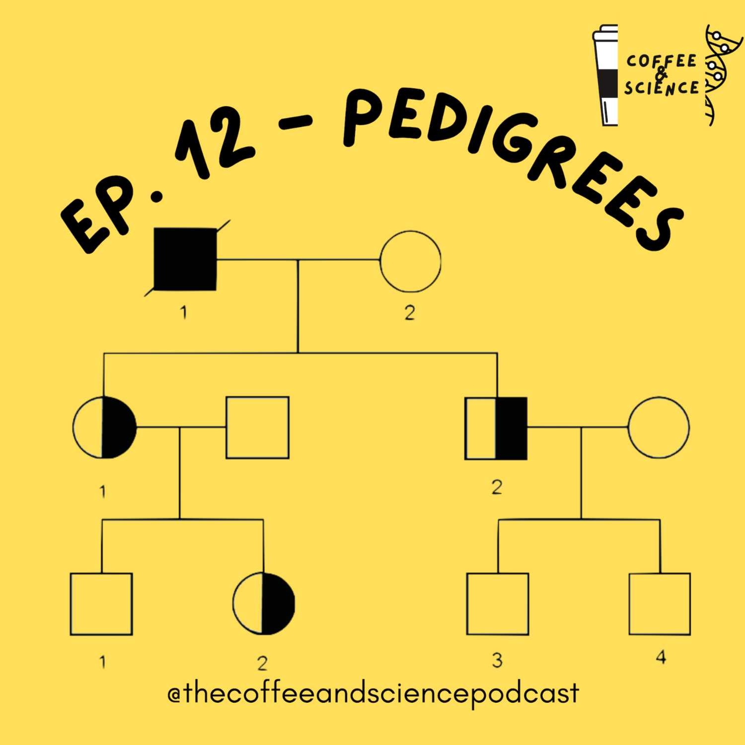 EP.12 - PEDIGREES EP.12 - PEDIGREES