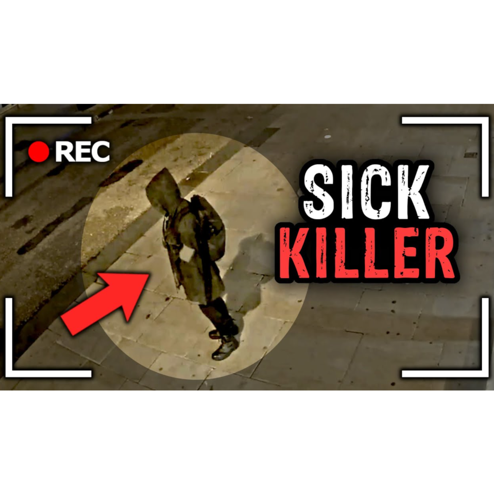 The Luka Magnotta Cat Killer Wannabe That Chose Murder Instead