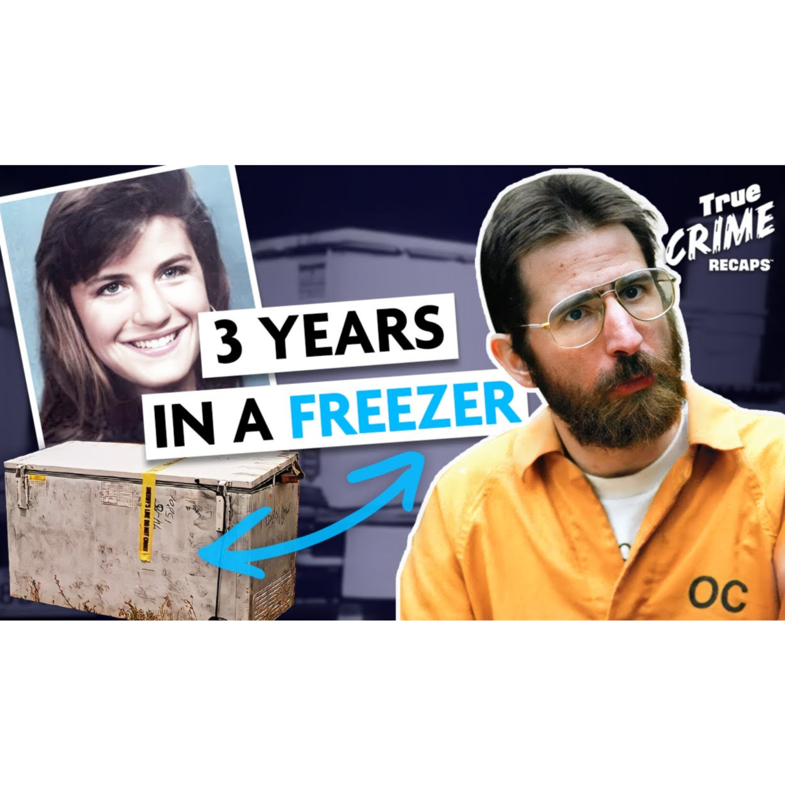 The Killer Who Kept His Victim in an Ice Box  The Case of Denise Huber - Coffeehouse Crime