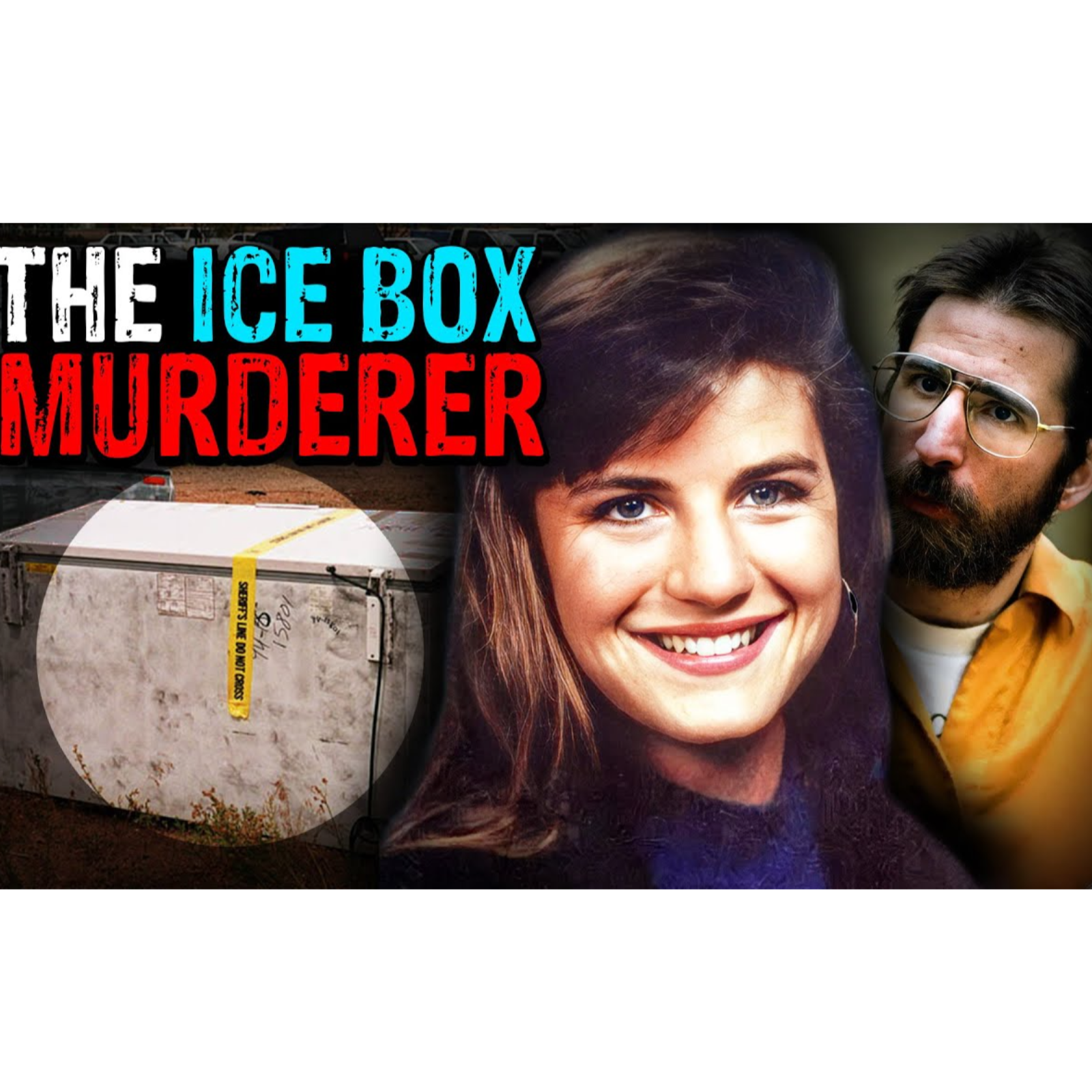 The Killer Who Kept His Victim in an Ice Box  The Case of Denise Huber - Coffeehouse Crime