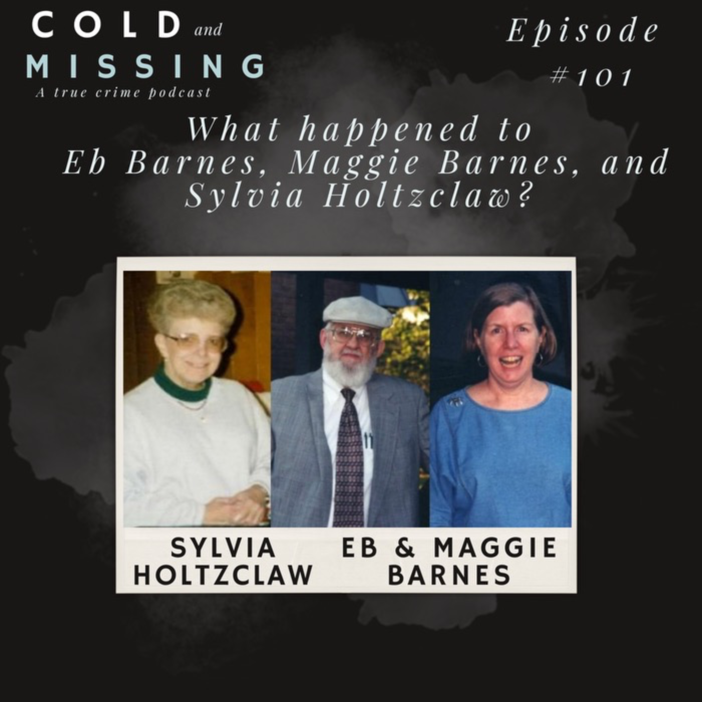 Cold and Missing: The Blue Ridge Bank Murders