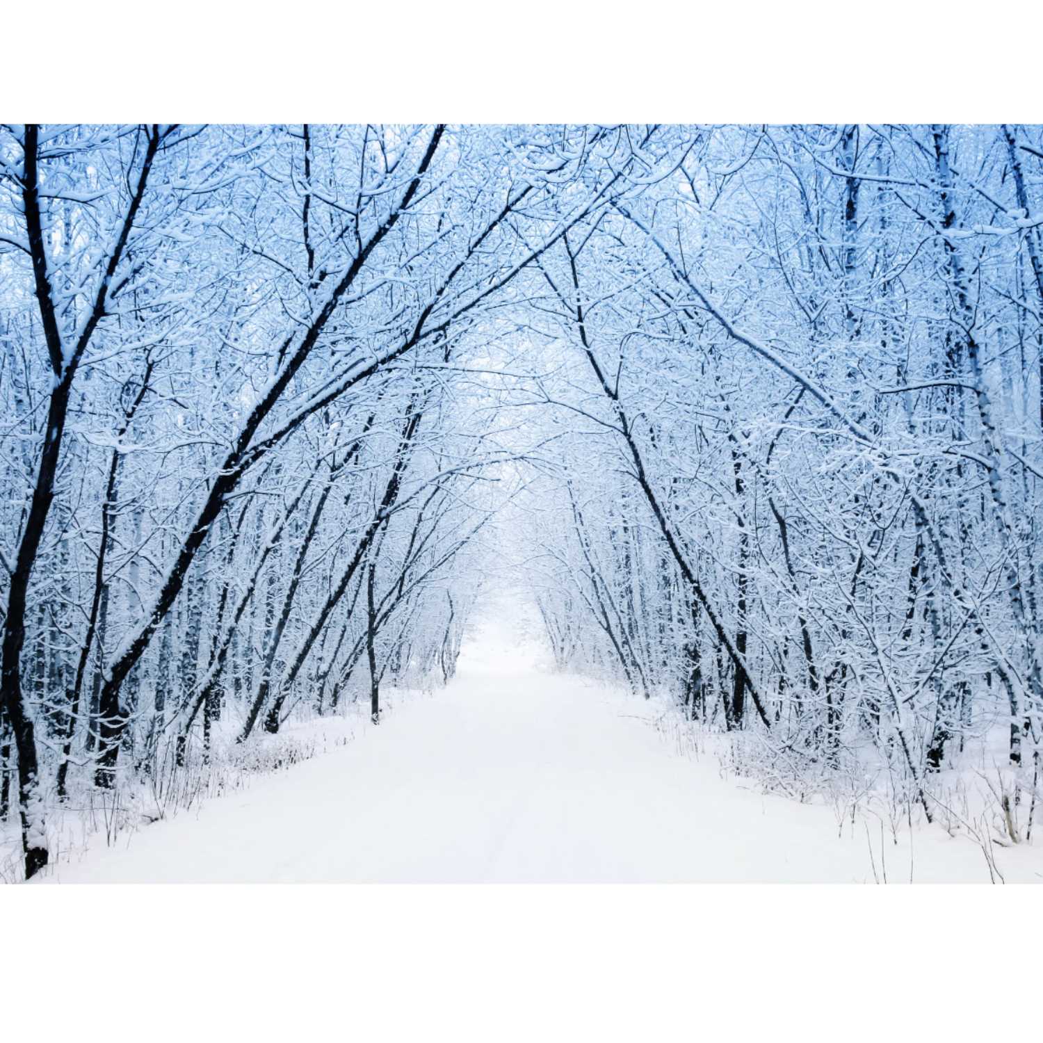 Why I love cold weather