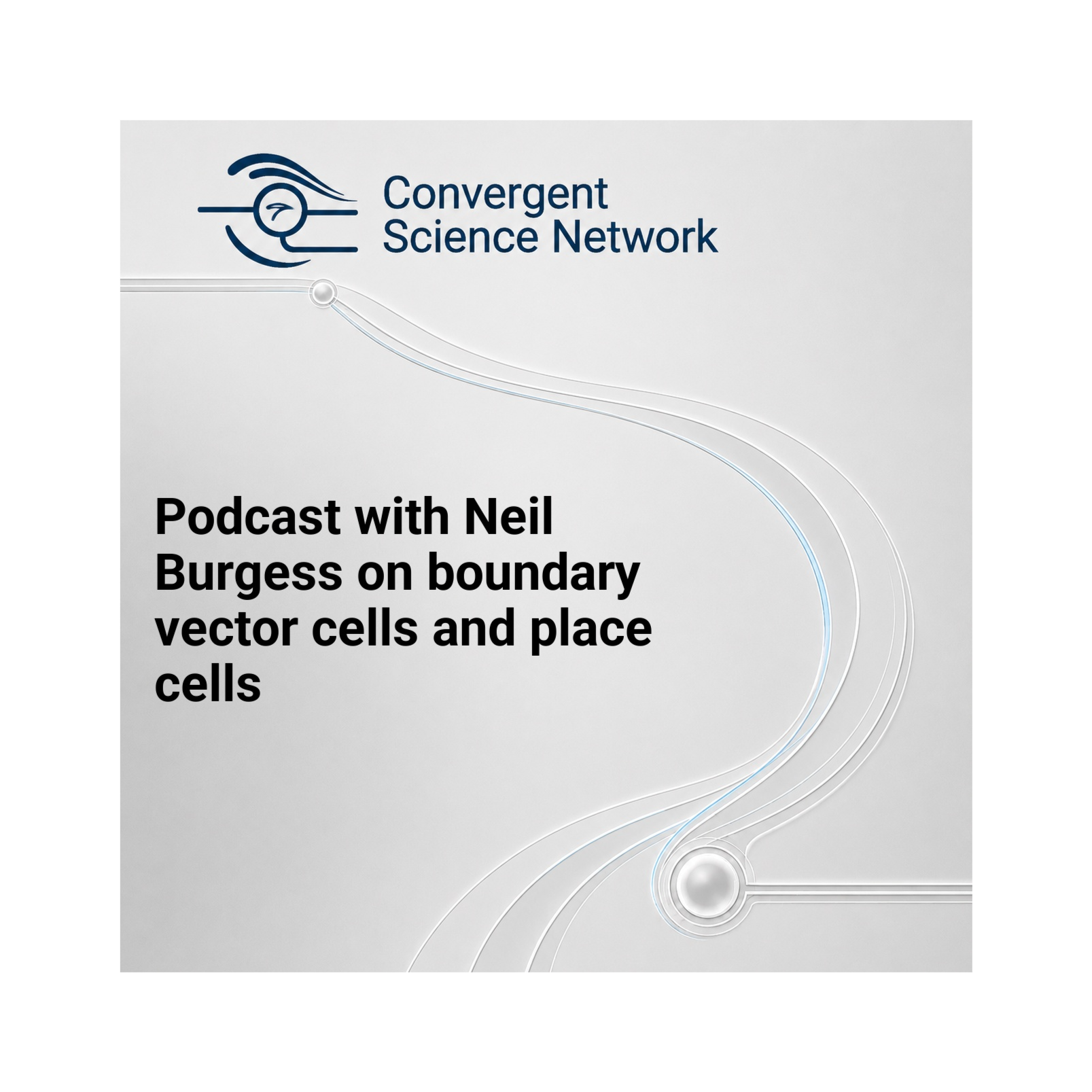 Podcast with Neil Burgess on boundary vector cells and place cells episode artwork