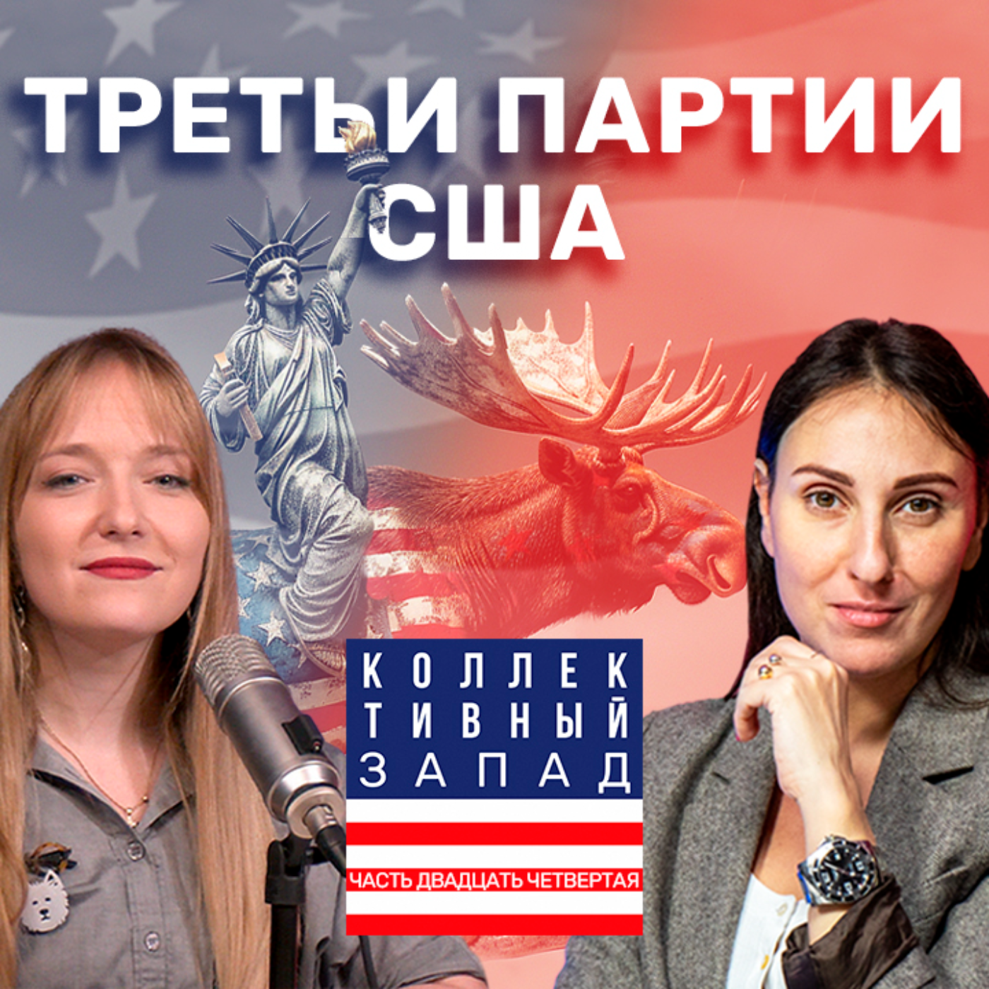 КТО ТАКИЕ ЛИБЕРТАРИАНЦЫ? ИСТОРИЯ ПАРТИИ И ВЛИЯНИЕ НА ВЫБОРЫ / Коллективный Запад #24 episode artwork