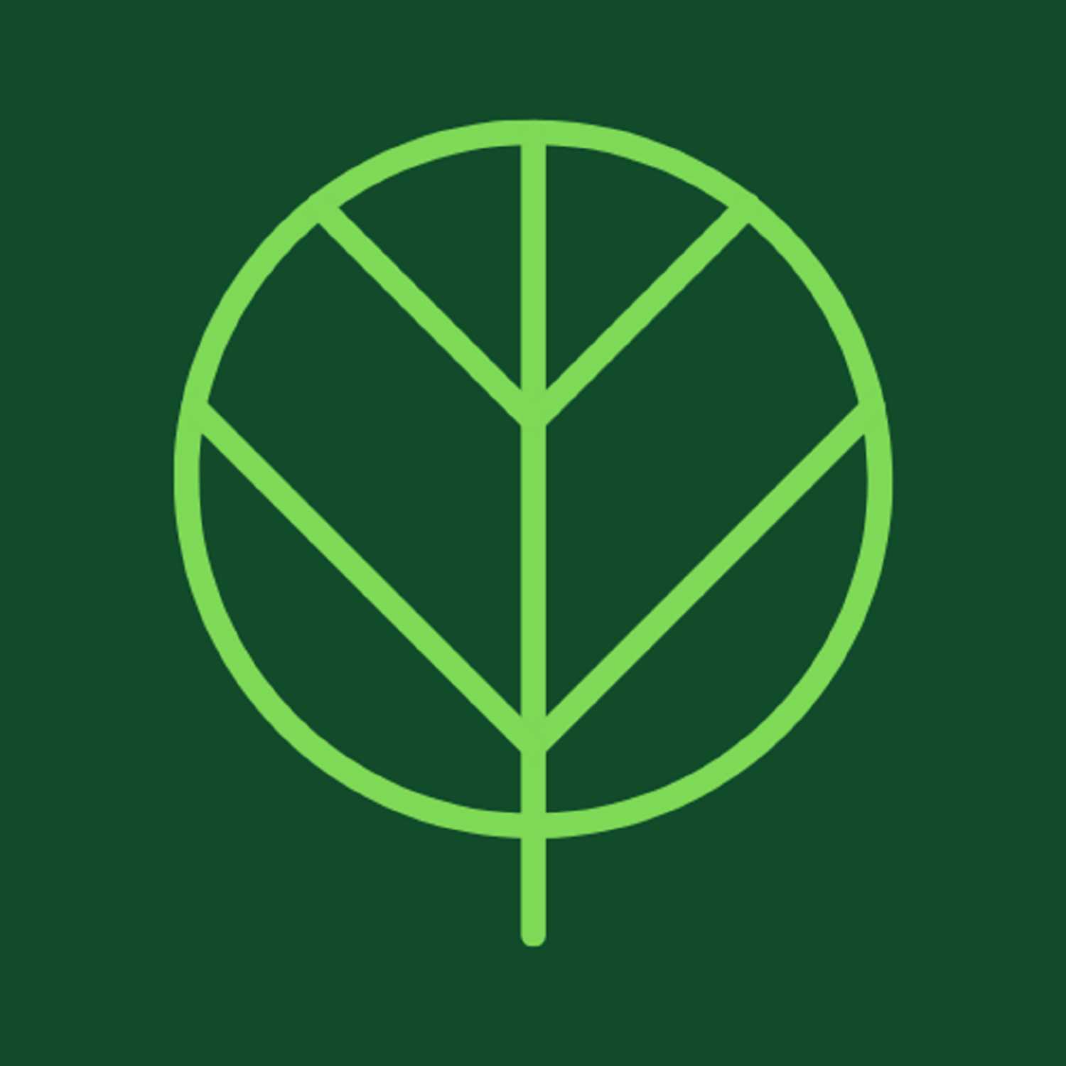 Collective Journey Bible Studies