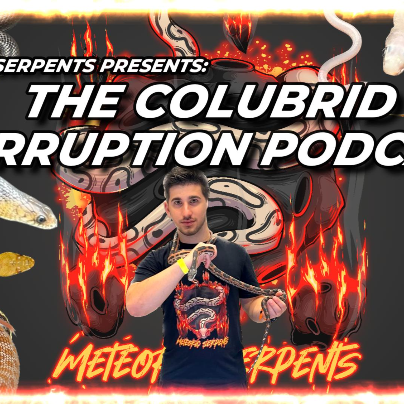 Episode 1: Kevin Sheahan/Offspring Reptiles - The Colubrid Corruption Podcast