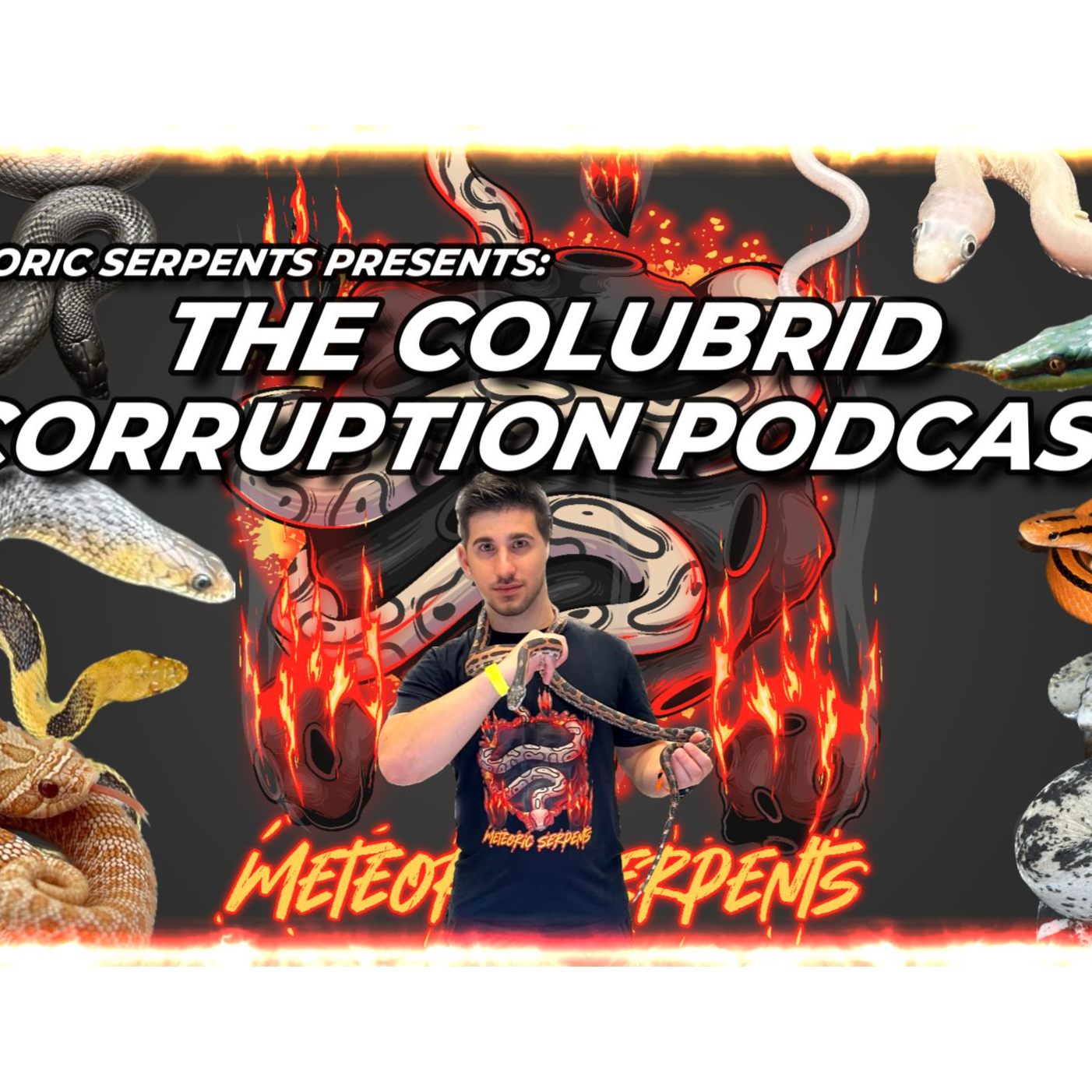 Episode 3: Alvaro Linares/Clover’s Reptiles - The Colubrid Corruption Podcast