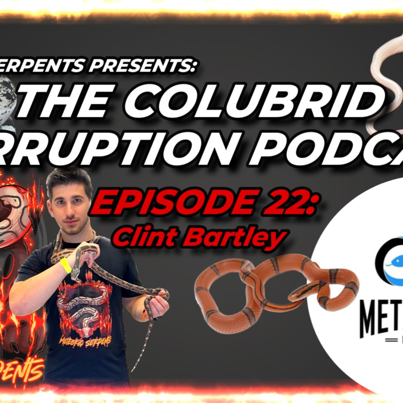 What's It Like Being a Full-Time Reptile Shop? w/ Clint Bartley - Colubrid Corruption Ep. 22