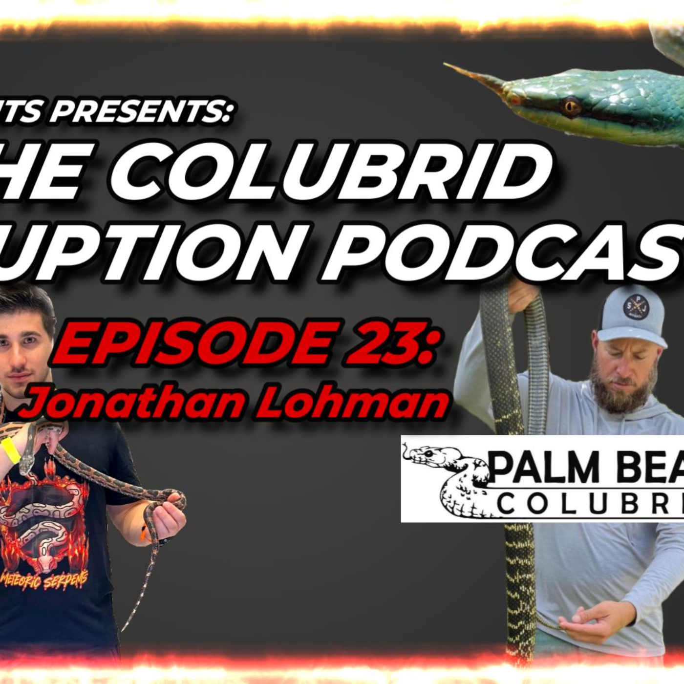 Being a Leading Force with Colubrids in Florida w/ Jon Lohman - Colubrid Corruption Ep. 23