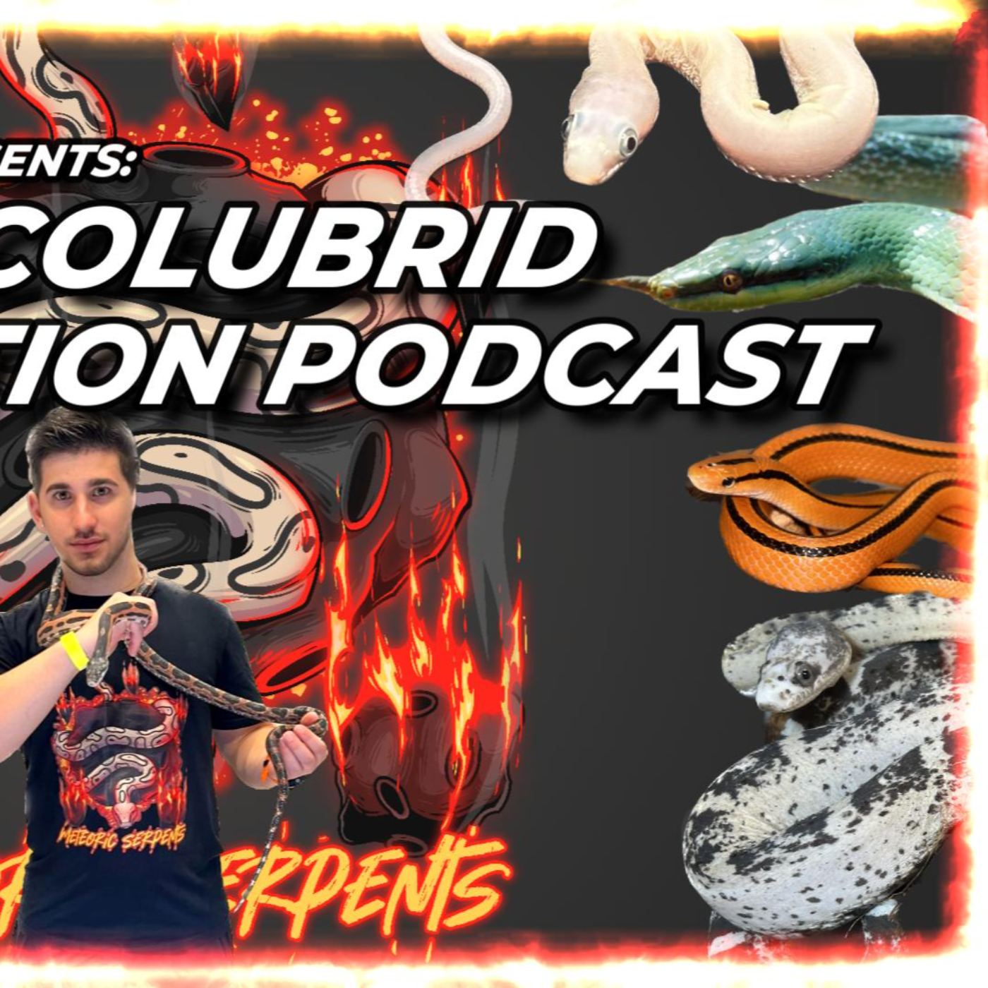 Sunday Night Hangout + Special Guest(s)? - Colubrid Corruption Ep. 24