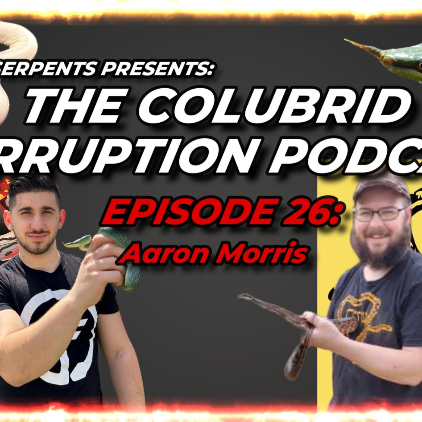 Going Down the Texas Rat Snake Rabbit Hole w/ Aaron Morris | Colubrid Corruption | Ep. 26