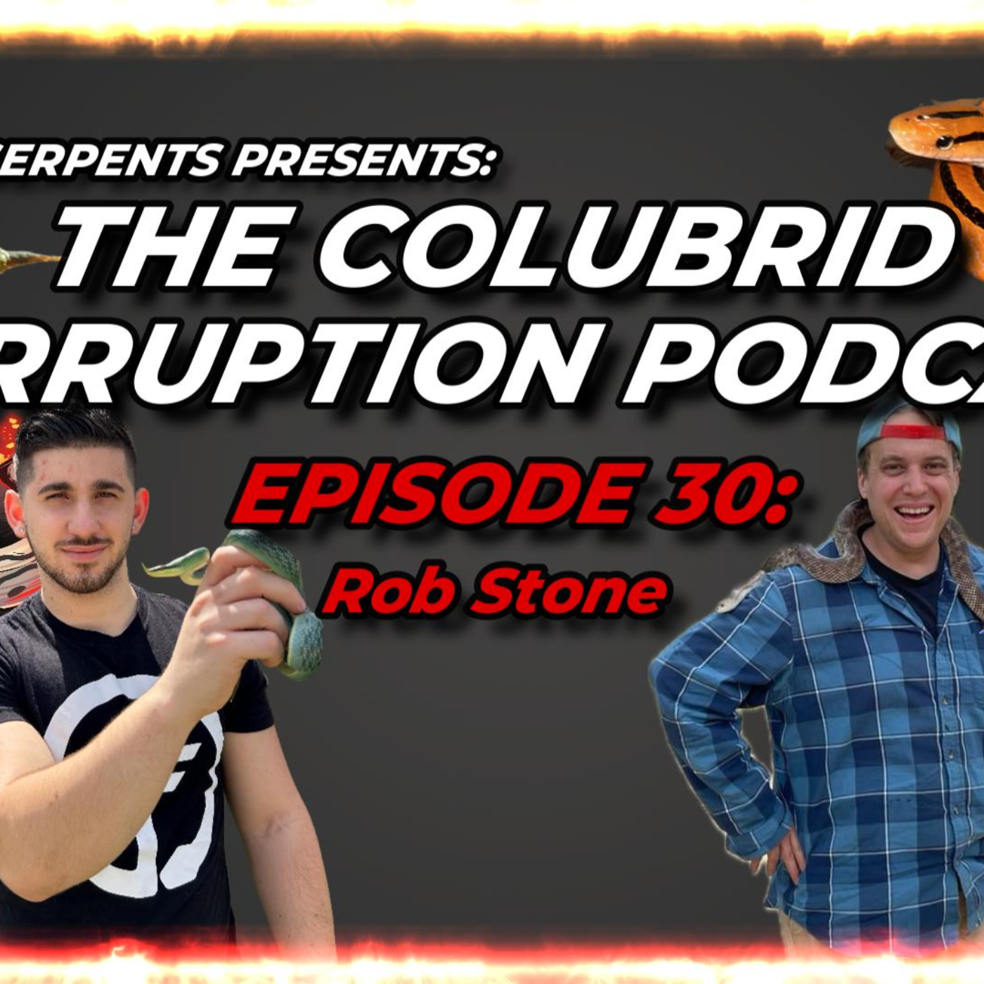 Rhino Rat Snakes & Herping the World w/ Rob Stone | The Colubrid Corruption Podcast | Ep. 30