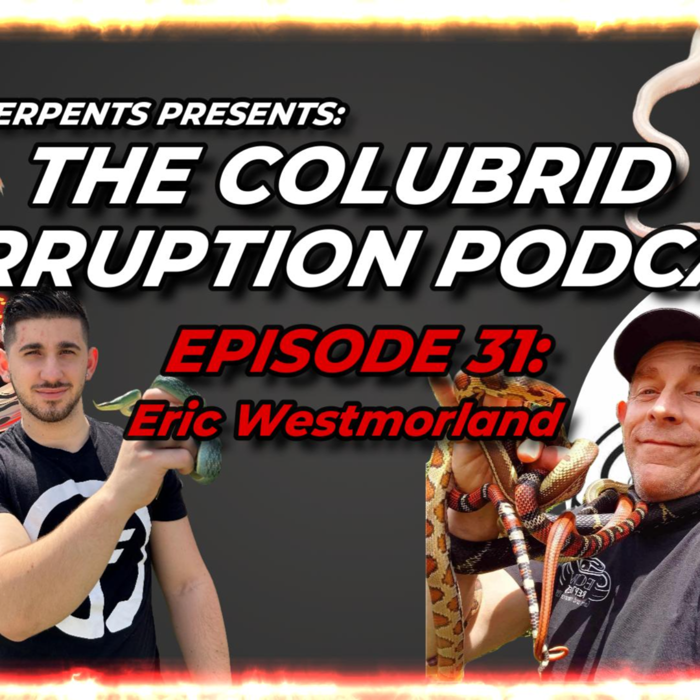 Finally, Some Corn Snakes! w/ Eric Westmorland | The Colubrid Corruption Podcast | Ep. 31