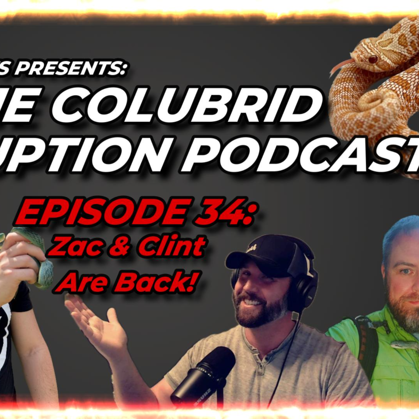 All Things ColubridFest & CCR w/ Zac & Clint | The Colubrid Corruption Podcast | Ep. 34