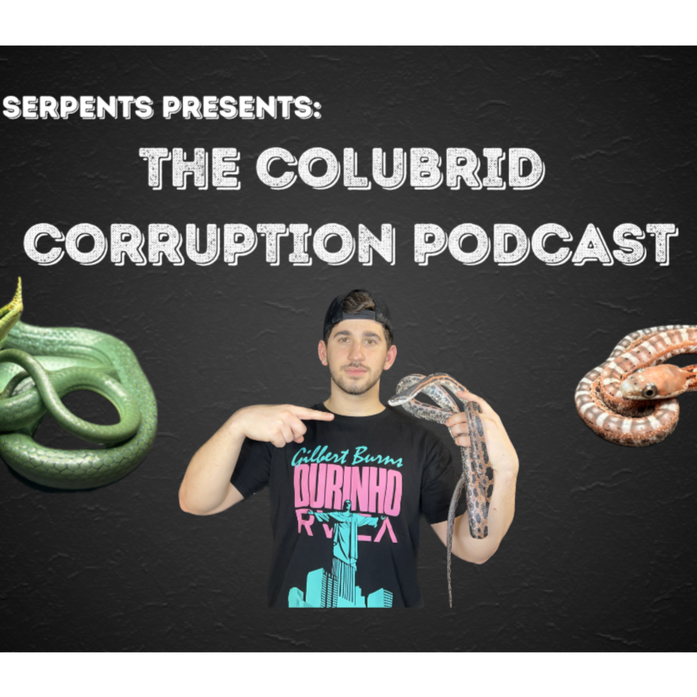 Solo Sunday Hang Out & Chat with Joe | Colubrid Corruption | Ep. 37