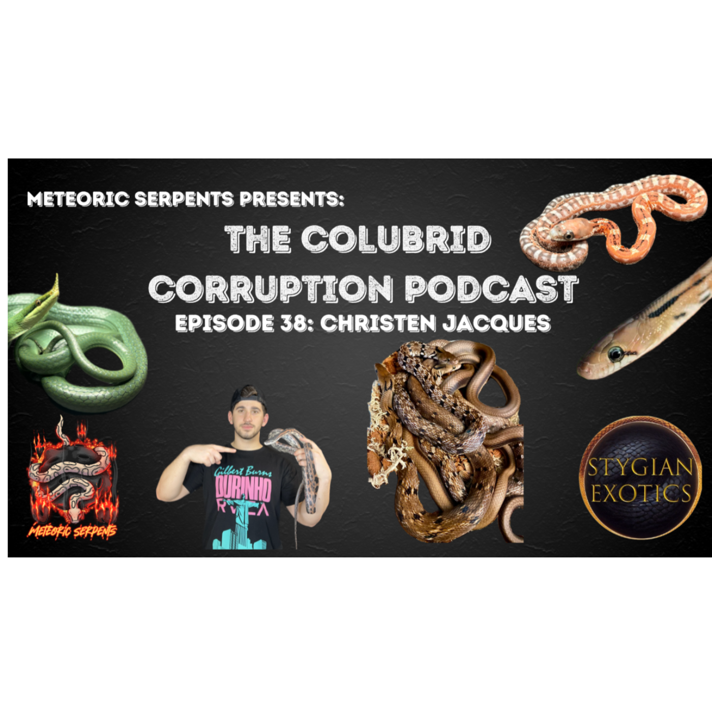 Coelognathus & Unique Species w/ Christen Jacques | The Colubrid Corruption Podcast | Ep. 38