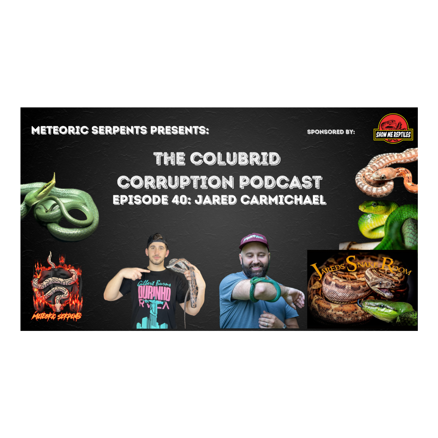 Breeding the "Elusive" Gonyosoma oxycephalum w/ Jared Carmichael | Colubrid Corruption | Ep. 40