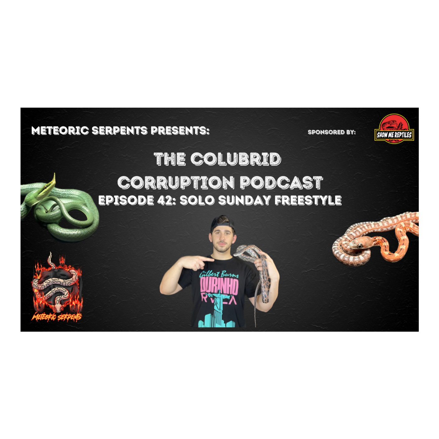 Reptile Ranting, My Thoughts on the Industry, Future Projects & More | Colubrid Corruption | Ep. 42