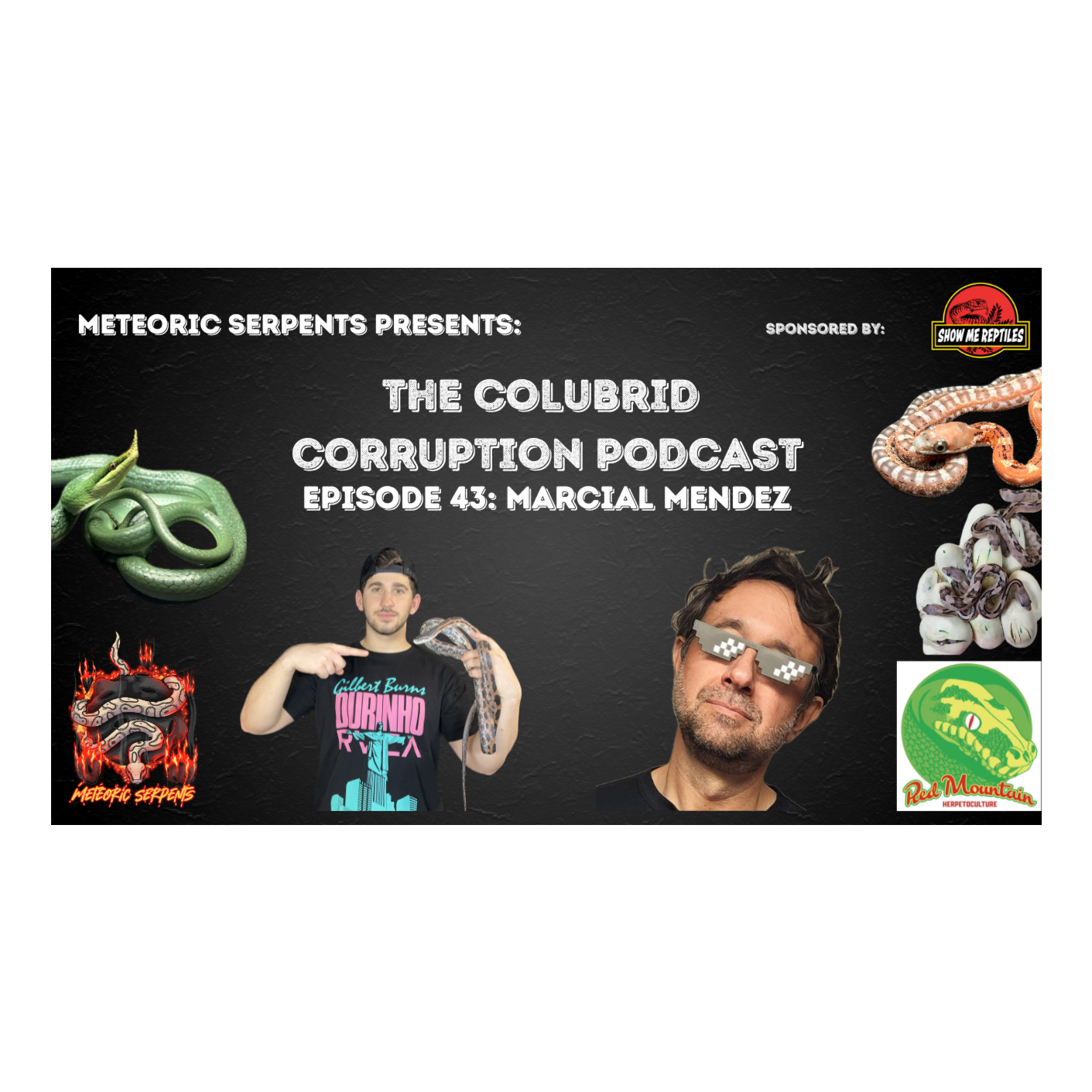 Arboreal Legend Keeps Colubrids Too? w/ Marcial Mendez | The Colubrid Corruption Podcast | Ep. 43