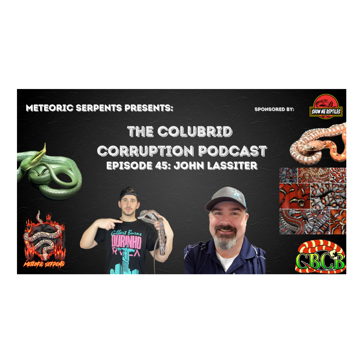 The Shift to Montane King Snake Popularity w/ John Lassiter | Colubrid Corruption | Ep. 45