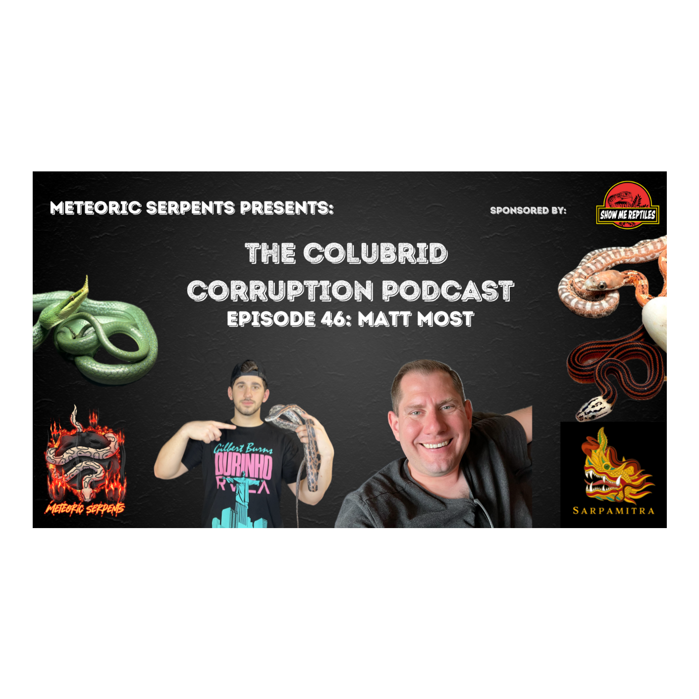 What It Takes to Establish New Species w/ Matt Most | The Colubrid Corruption Podcast | Ep. 46