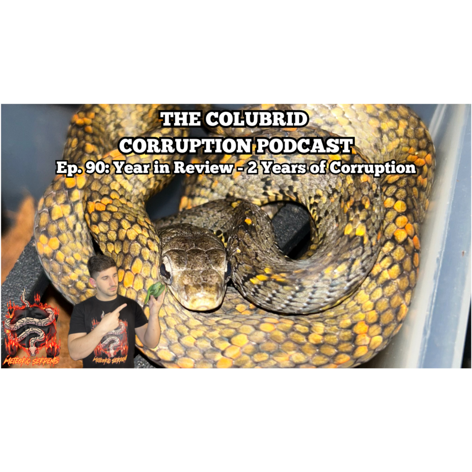 A Year in Review - 2 Full Years of Corruption | The Colubrid Corruption Podcast | Ep. 90