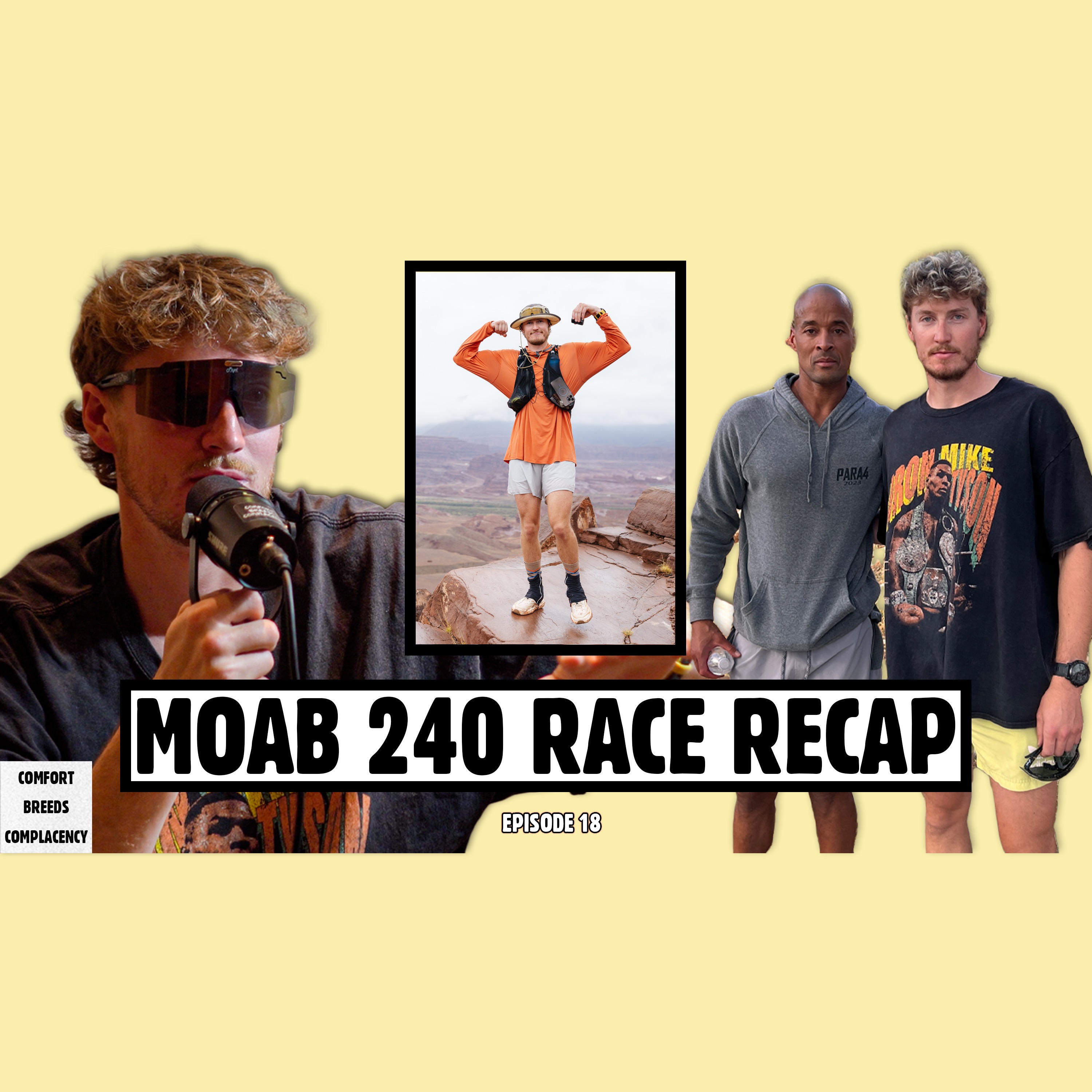 COMFORT BREEDS COMPLACENCY