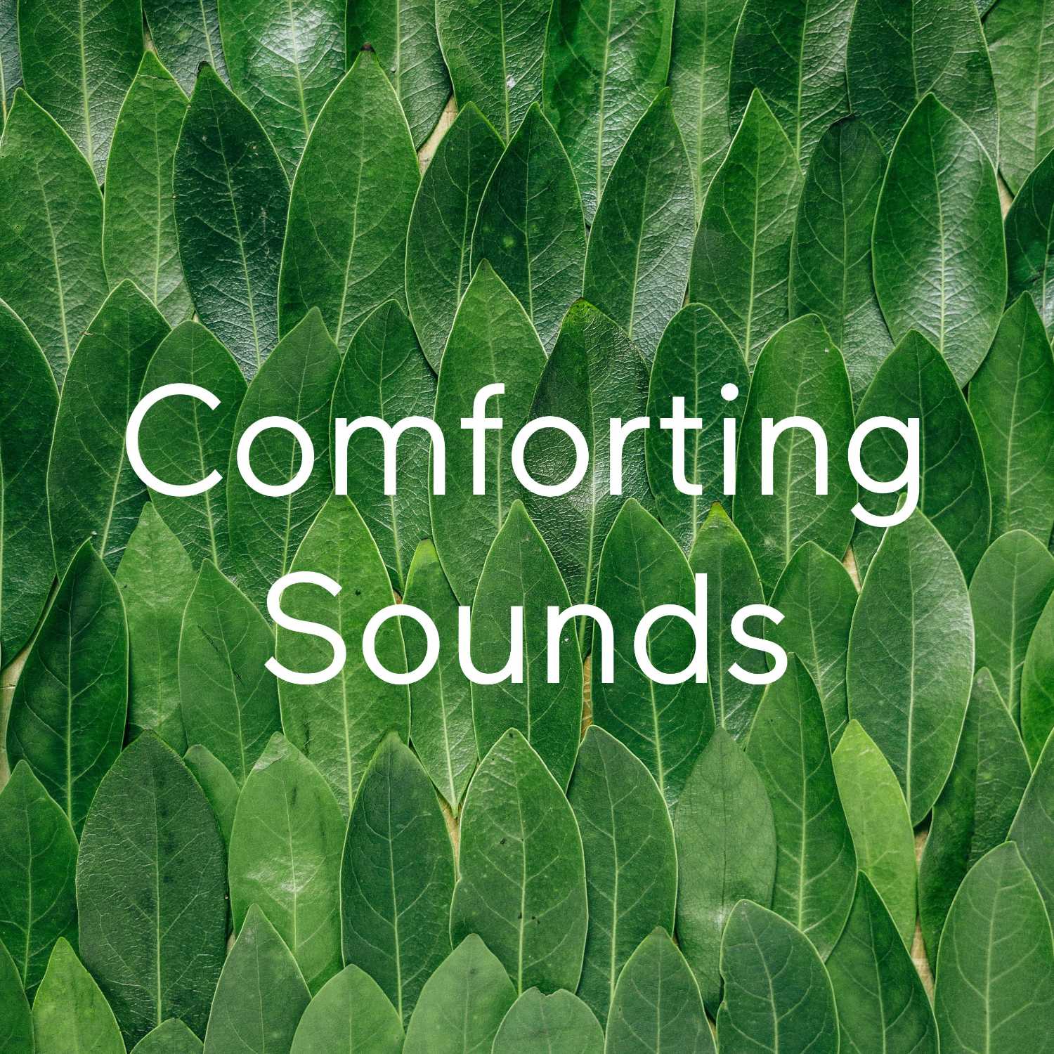 Comforting Sounds 