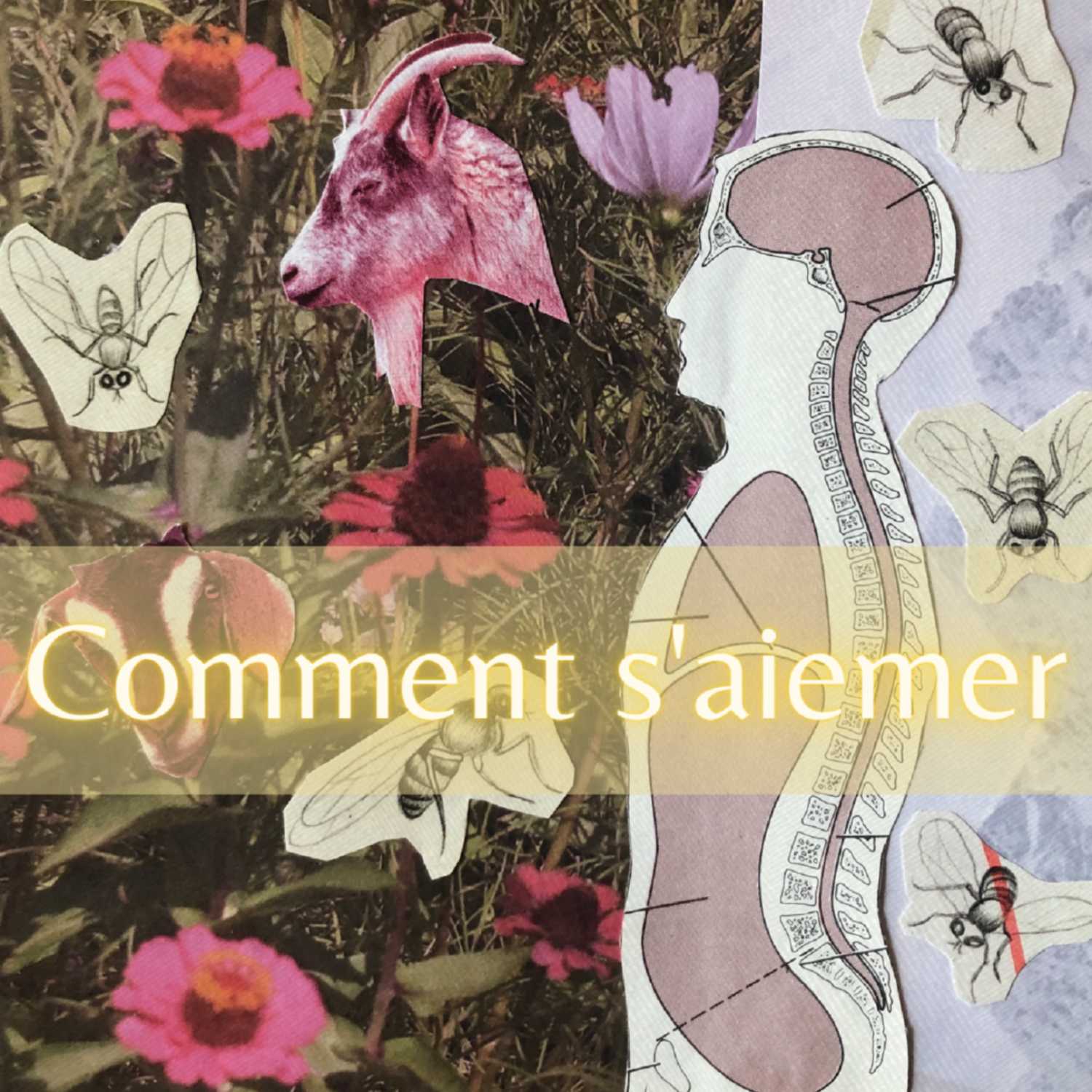 E01 Le printemps
