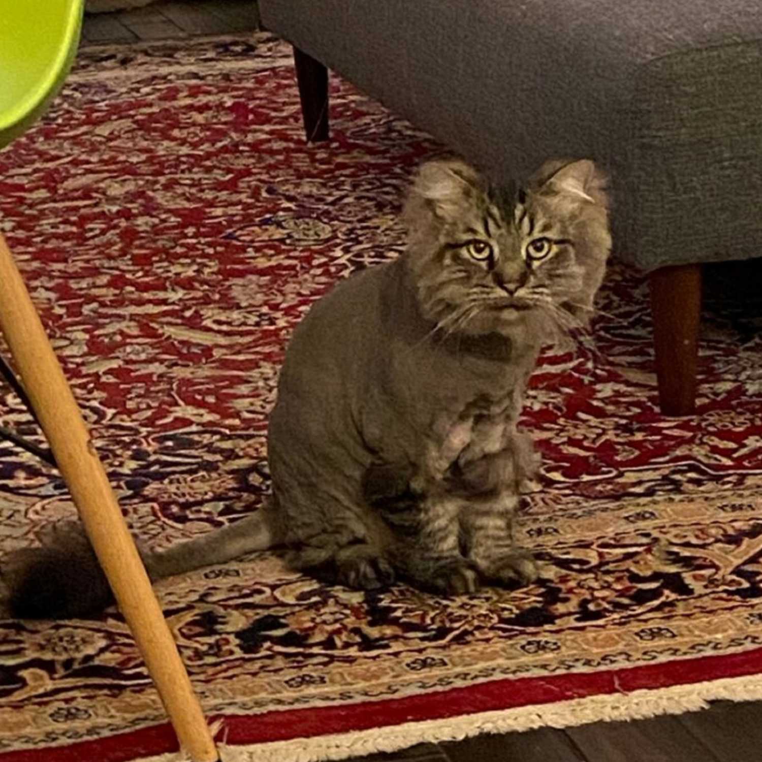 Best Jobs to Make People Laugh (not what you think!) - Episode 10 Best Jobs to Make People Laugh (not what you think!) - Episode 10