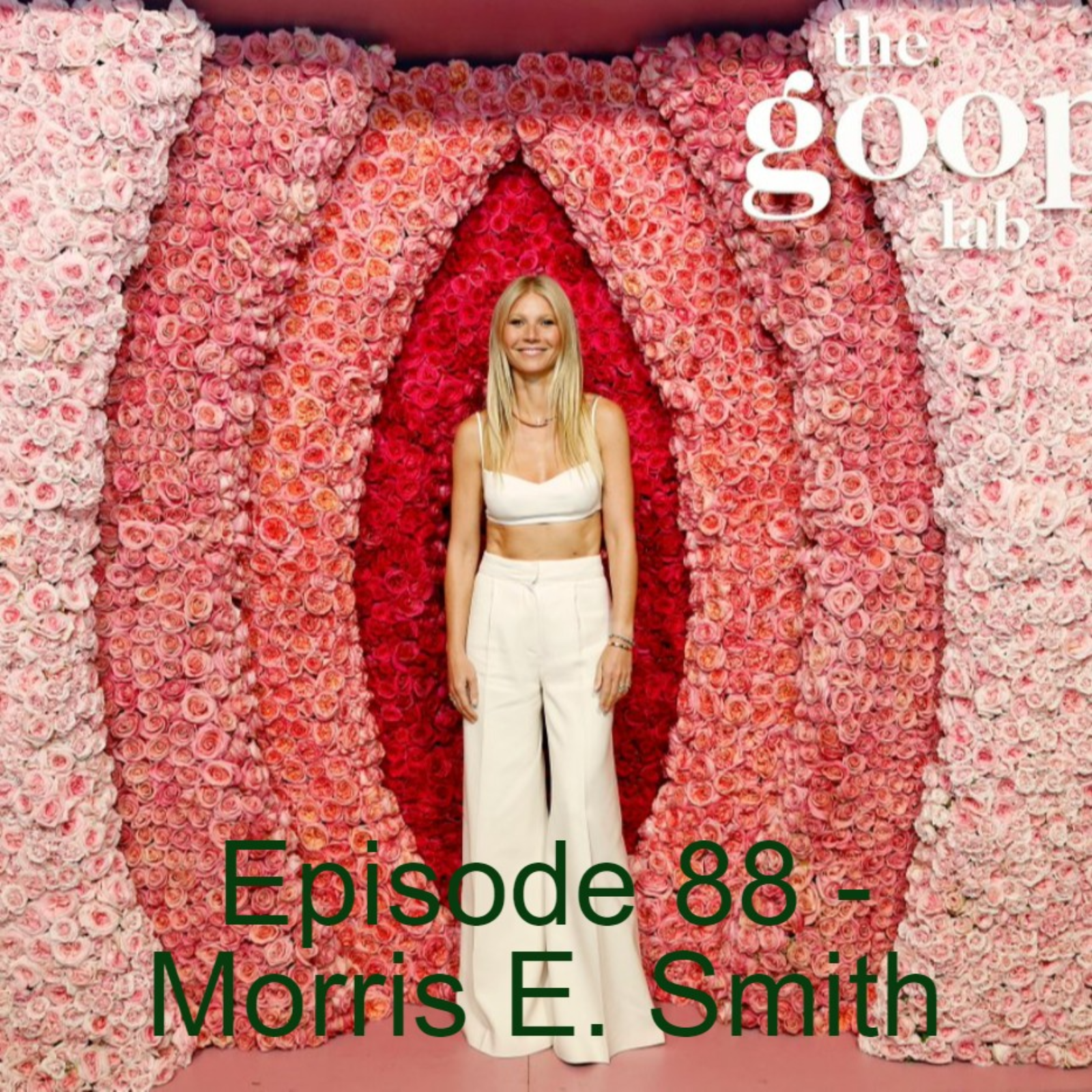 Episode 88 - Morris E. Smith episode artwork