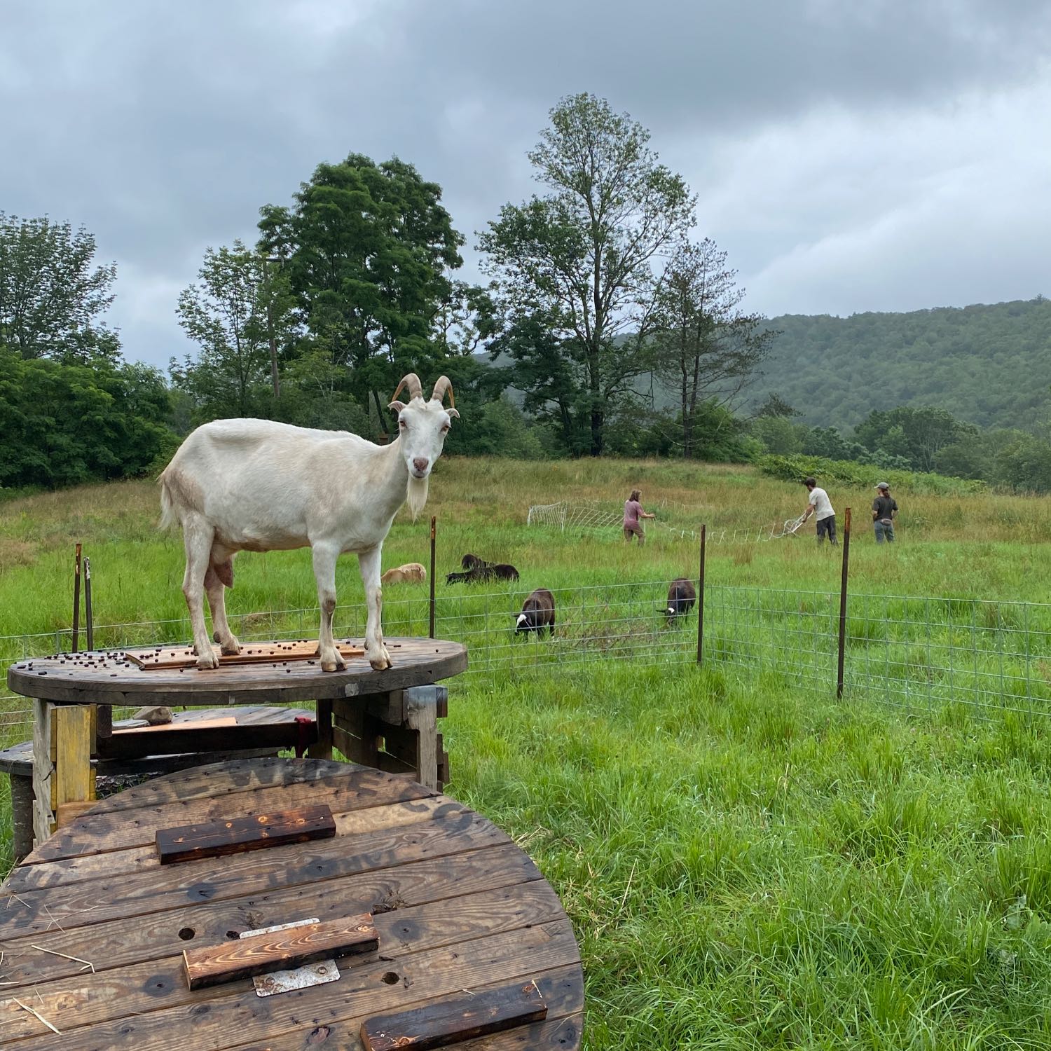 Community Ag Project