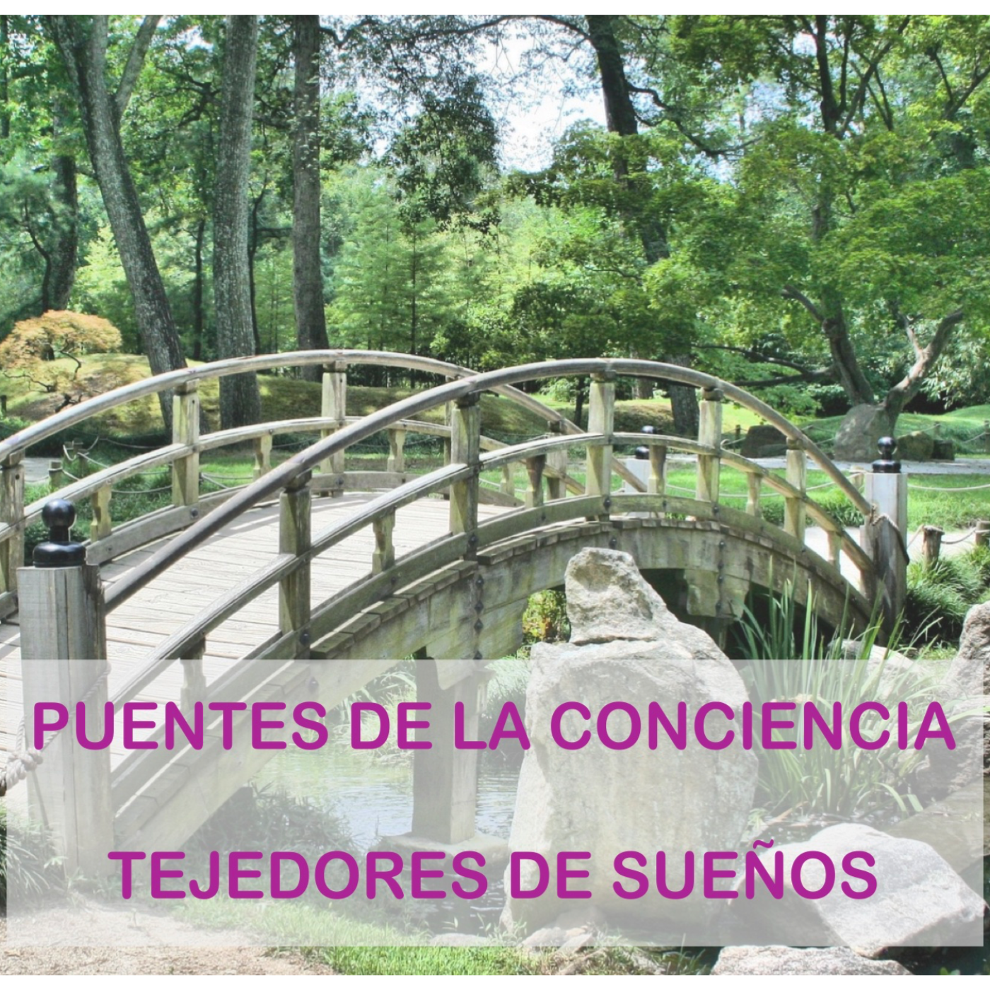 Puentes de la Conciencia-Tejedores de Sueños-Dr. Mauricio López entrevista al Maestro Eduardo Araiza. El Juego del Tonal episode artwork