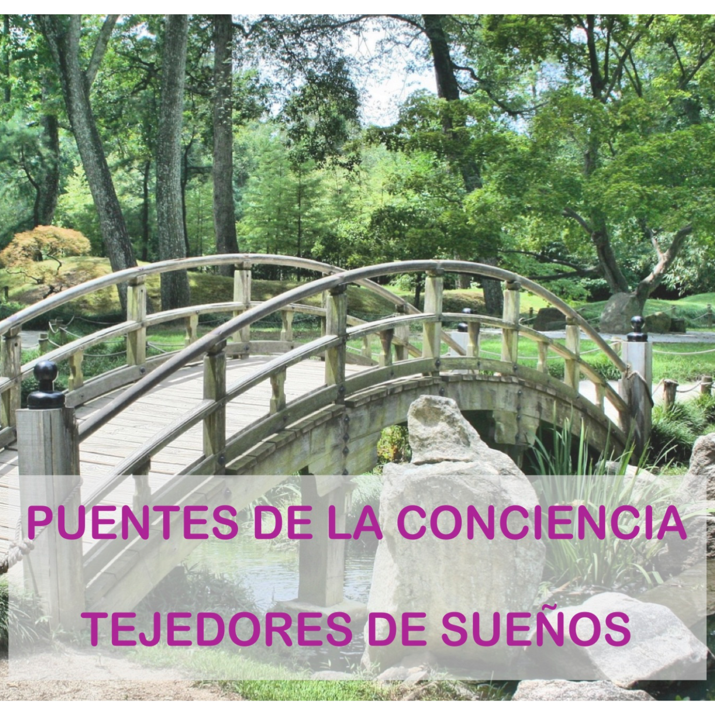 Programa "Puentes de la Conciencia"(Tejedores de Sueños")-El Dr. Mauricio López entrevista a Adonis Warlock episode artwork