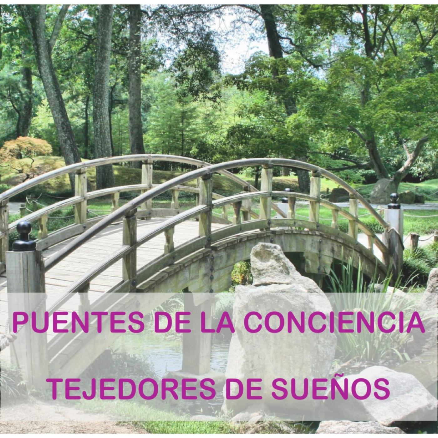 Programa "Puentes de la Conciencia"-Dr. Mauricio López- LA ANSIEDAD episode artwork
