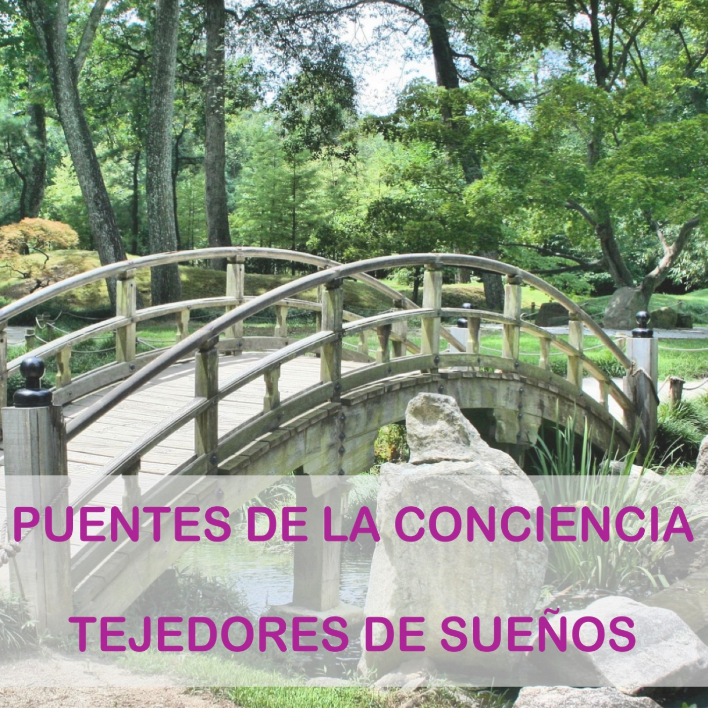 Programa Puentes de la Conciencia-Dr. Mauricio López-“Compañía Artificial” episode artwork